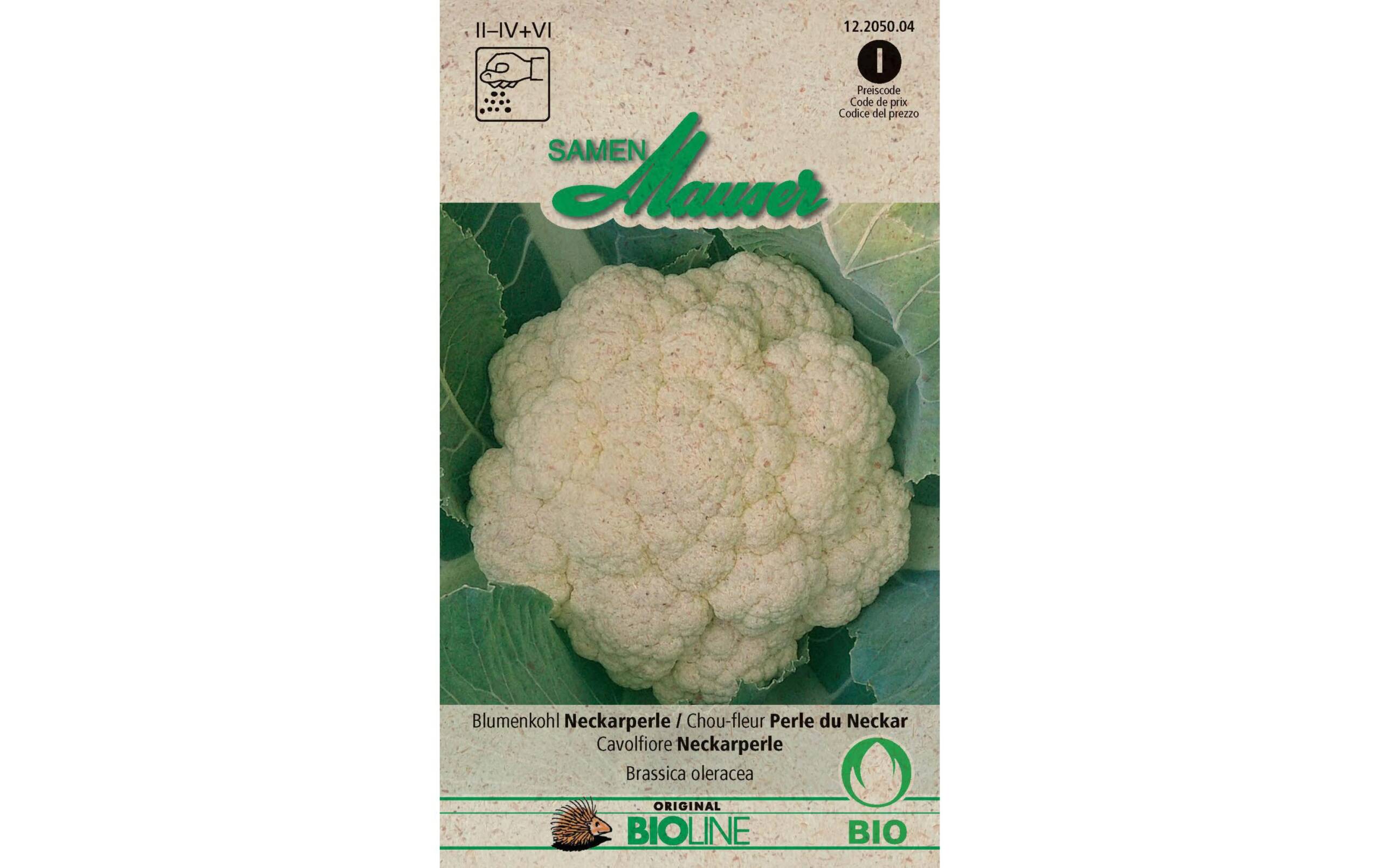 Samen Mauser Blumenkohl Neckarperle 0.5 g ca. 5-6 m2 Bio-Knospe