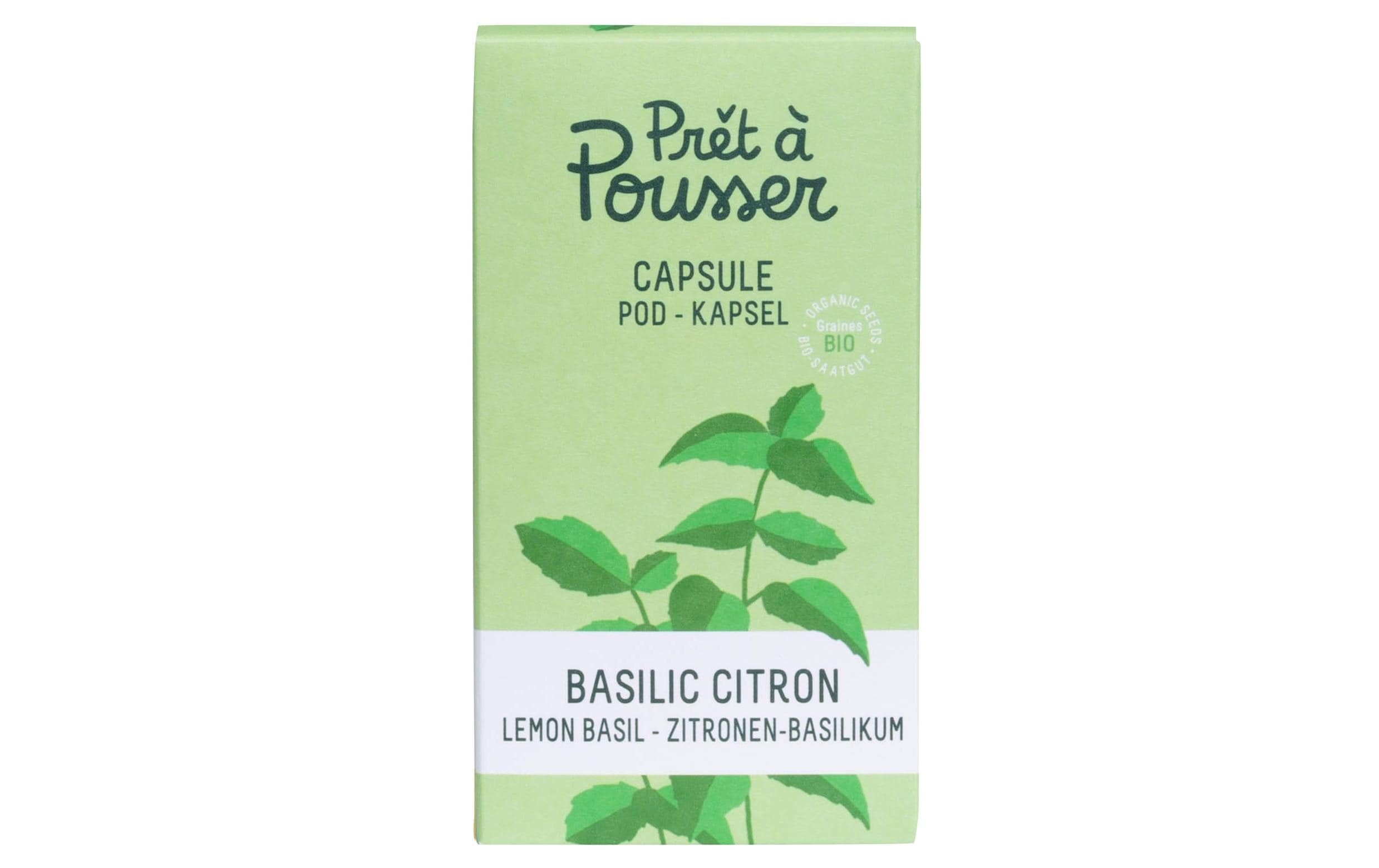 Prêt à Pousser Zitronen-Basilikum Biologische Samen in Kapsel