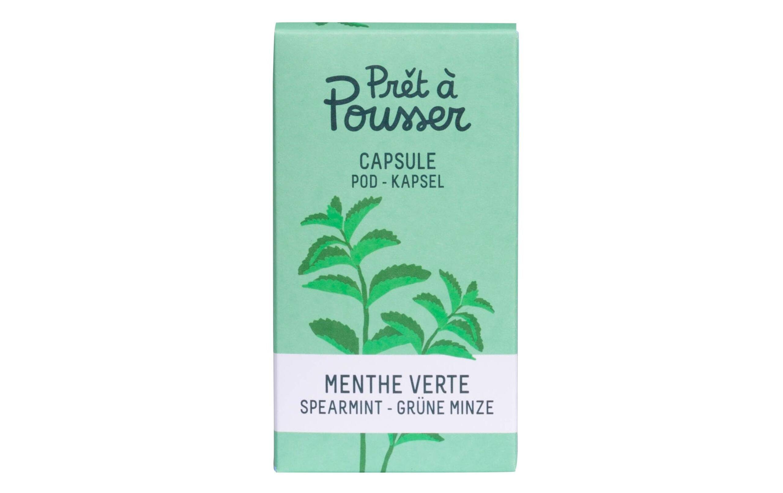 Prêt à Pousser Grüne Minze Biologische Samen in Kapsel