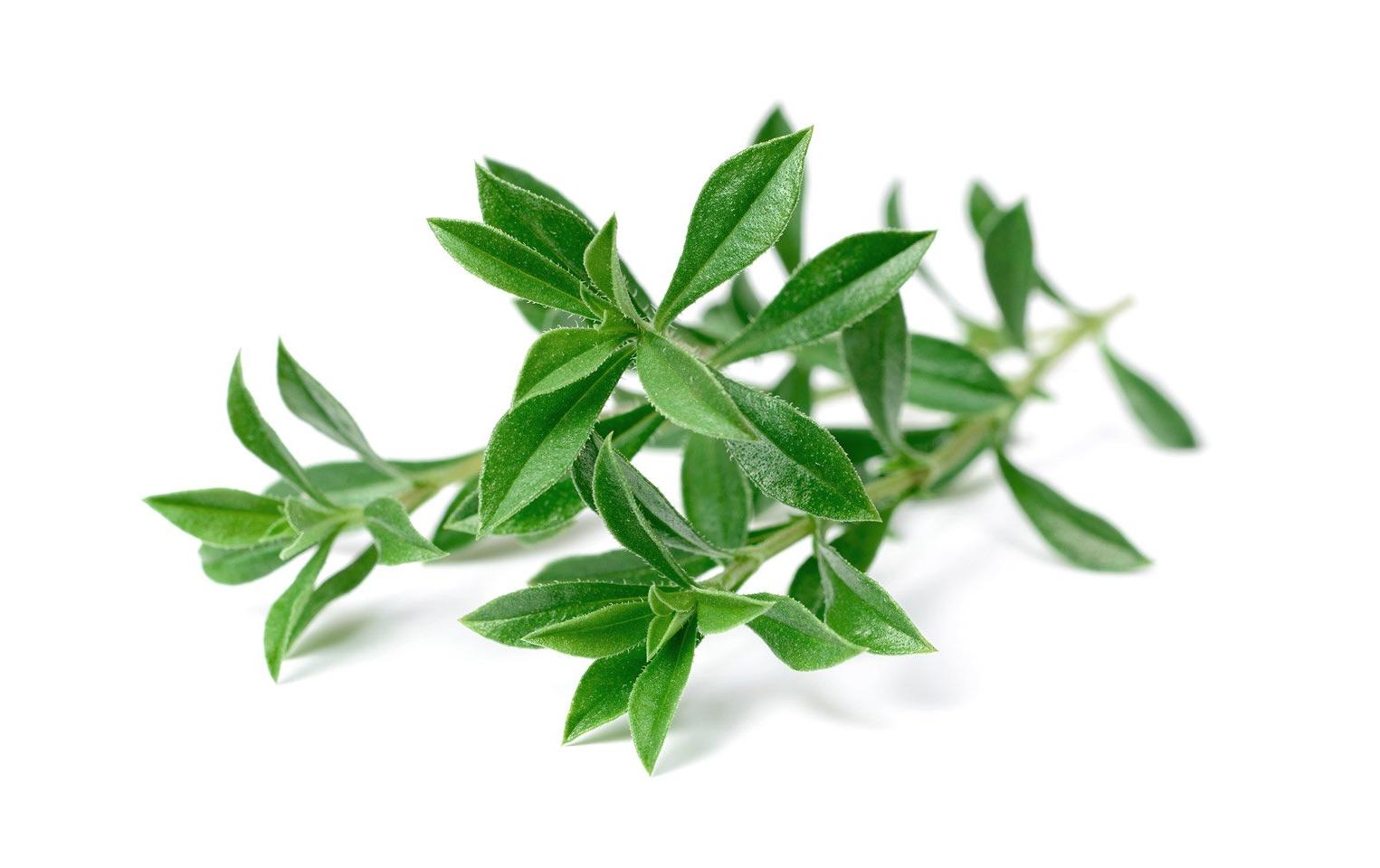 Click and Grow Mountain Savory Nachfüllpackung 3er Set