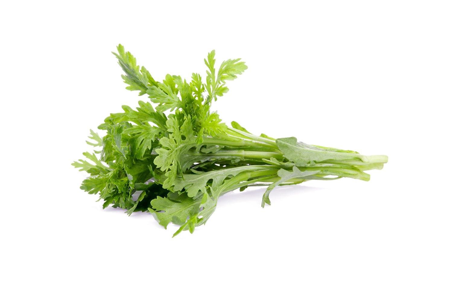 Click and Grow Shungiku Nachfüllpackung 3er Set