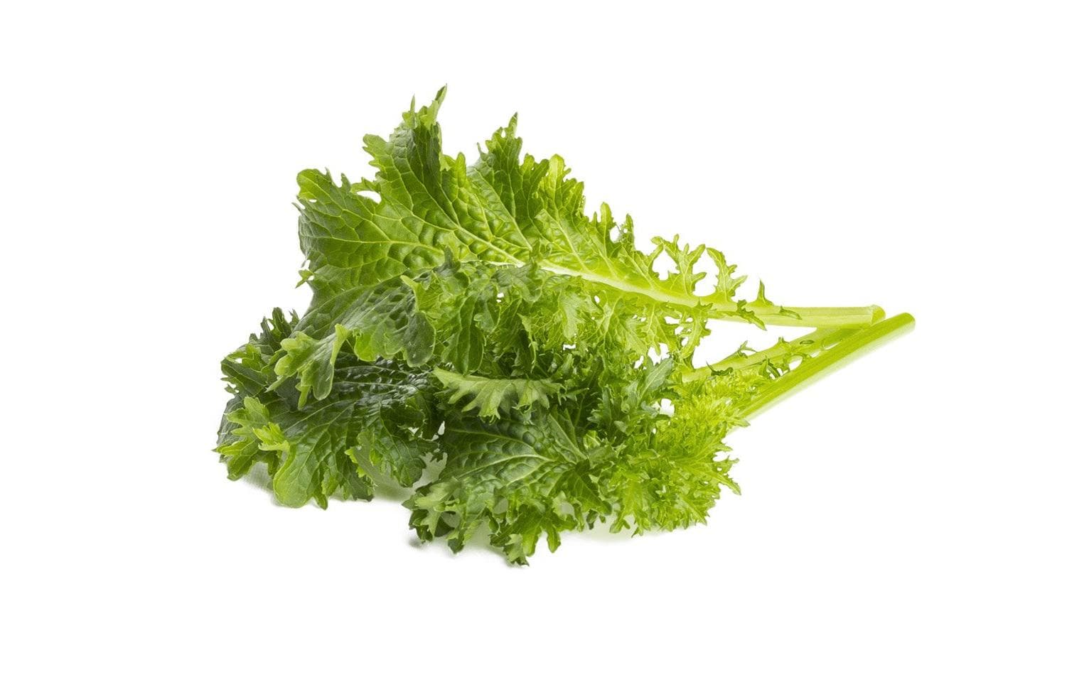 Click and Grow Wasabi Mustard Nachfüllpackung 3er Set