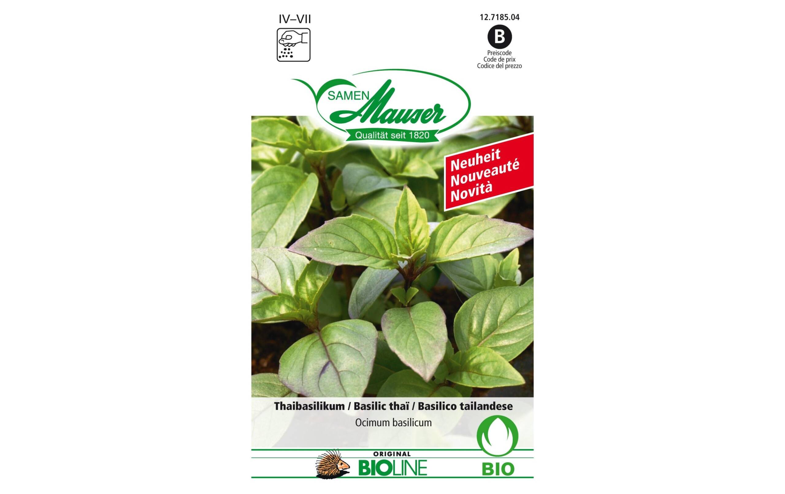 Thaibasilikum Bio Knospe