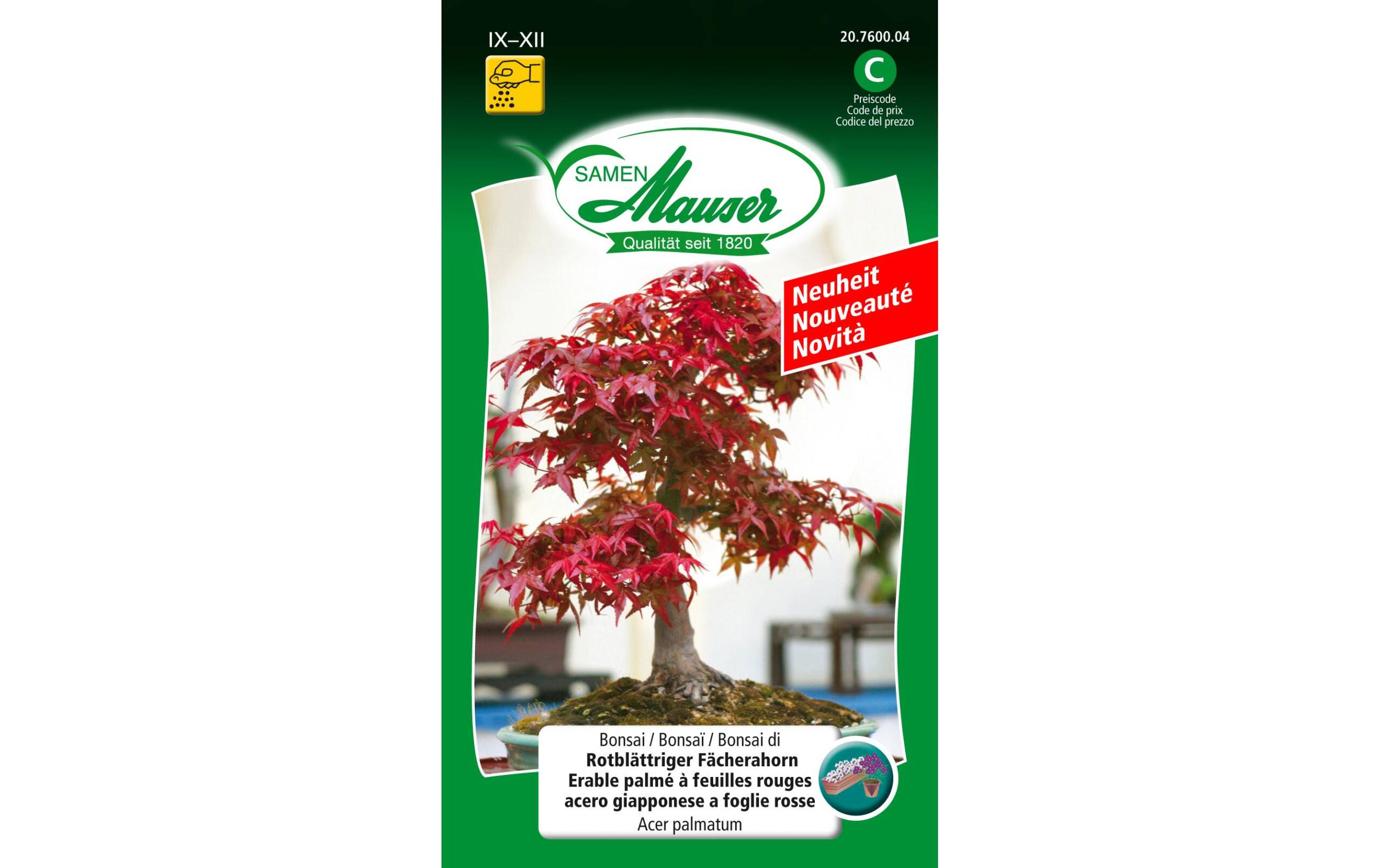 Bonsai rotblä. Fächerahorn