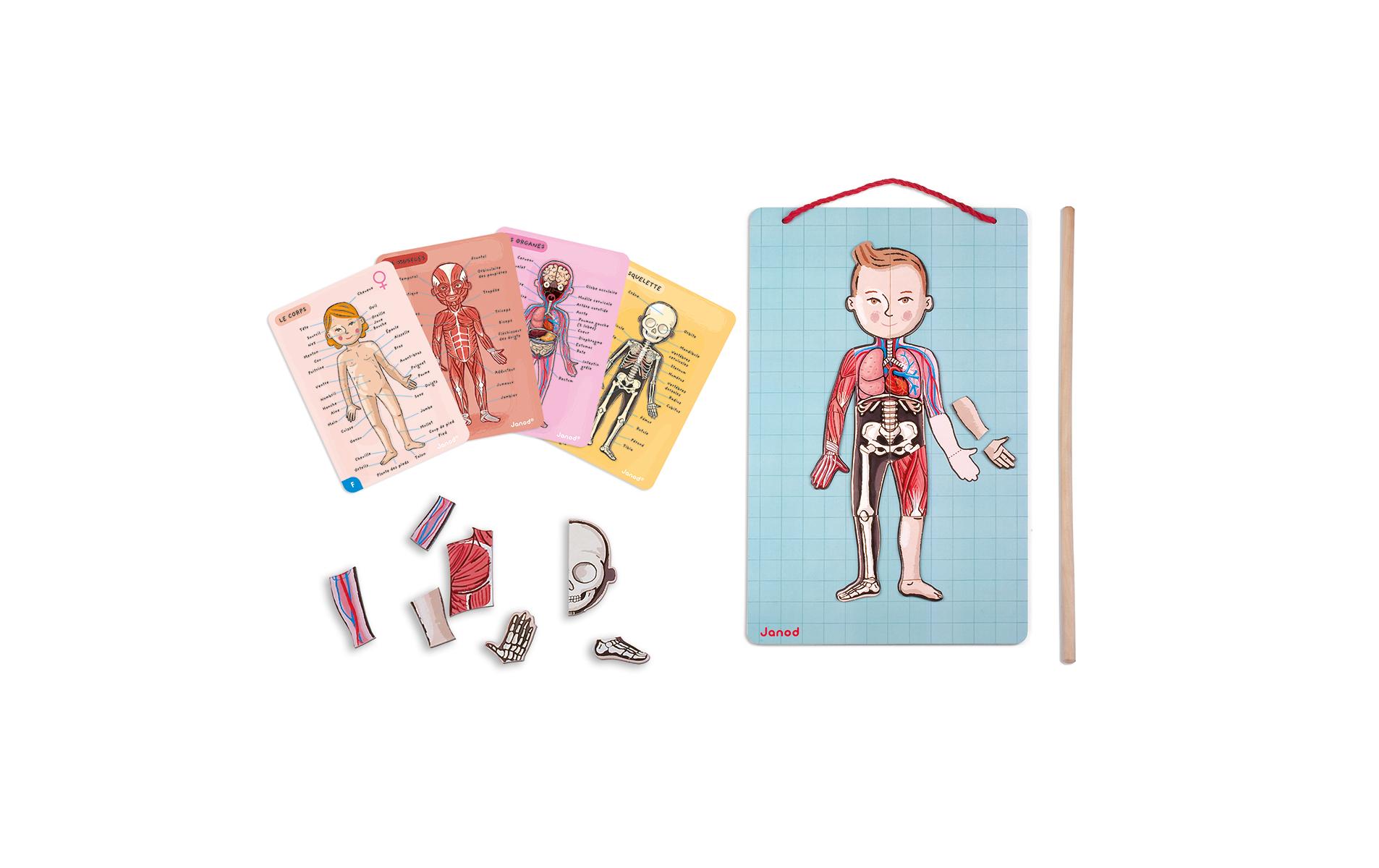 Magnetischer Körper 99tlg. FSC Alter ab: 7 Jahren