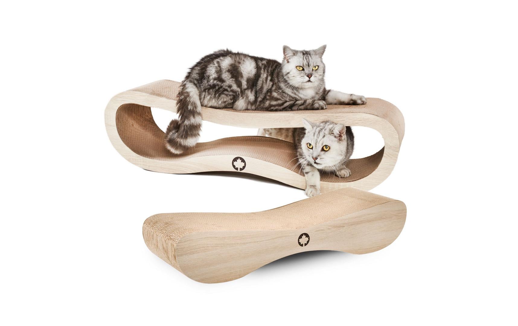 CanadianCat Set Orbit & Satellite natur