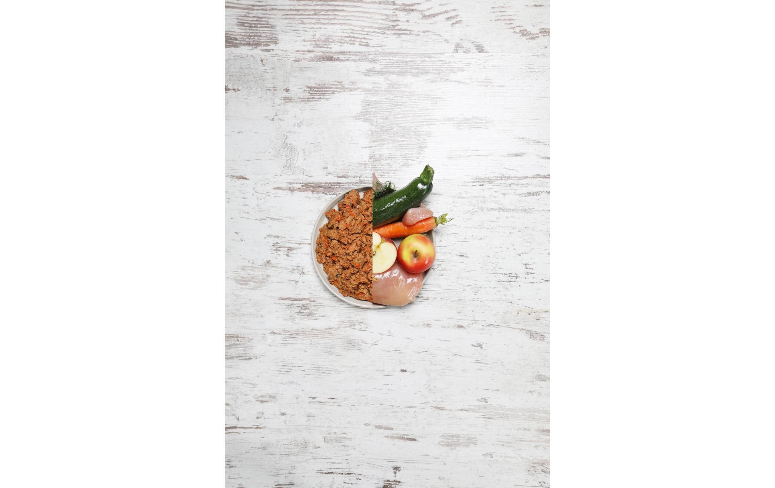 Dogs Love Nassfutter Junior Geflügel Kit 6x200g – Bild 5