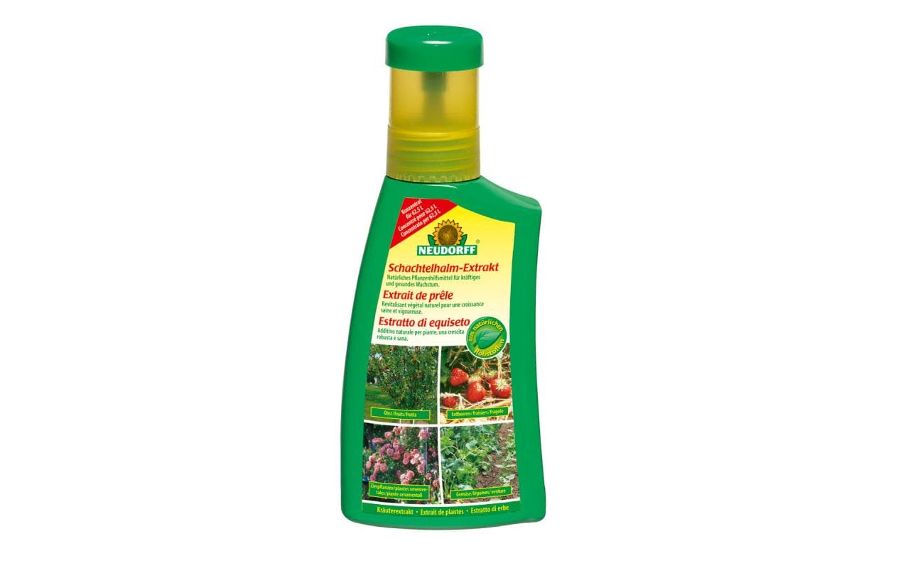 Schachtelhalm-Extrakt 250 ml