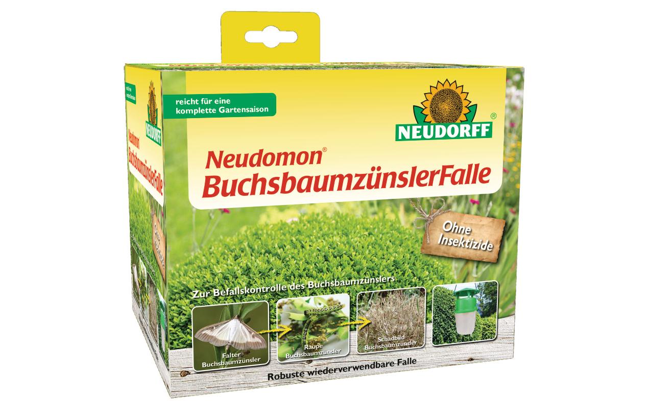 Neudomon Buchsbaumzünsler Falle Falle