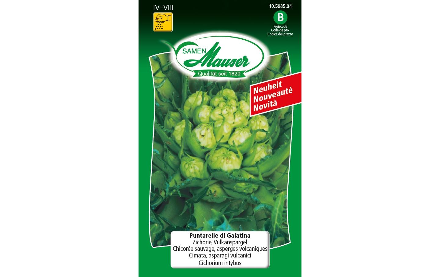 Samen Mauser Zichorie Puntarelle di Galatin