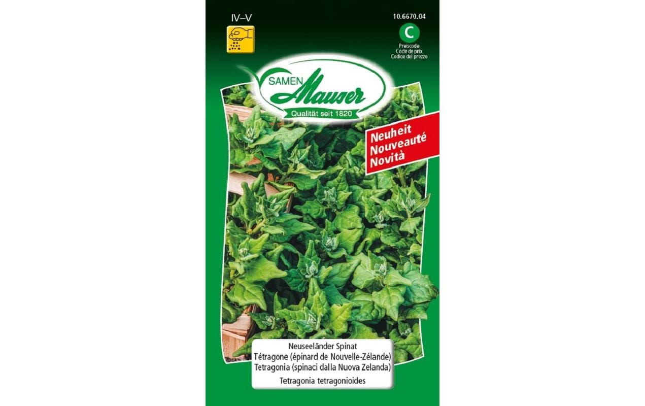 Samen Mauser Neuseeländerspinat Solanum melongena