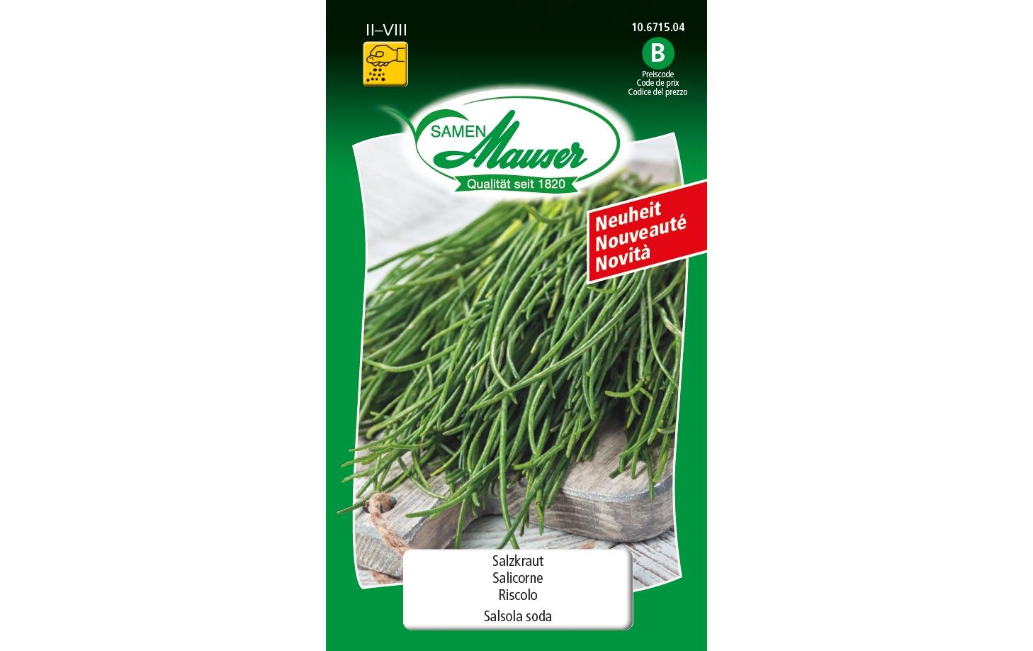 Samen Mauser Salzkraut Salsola soda