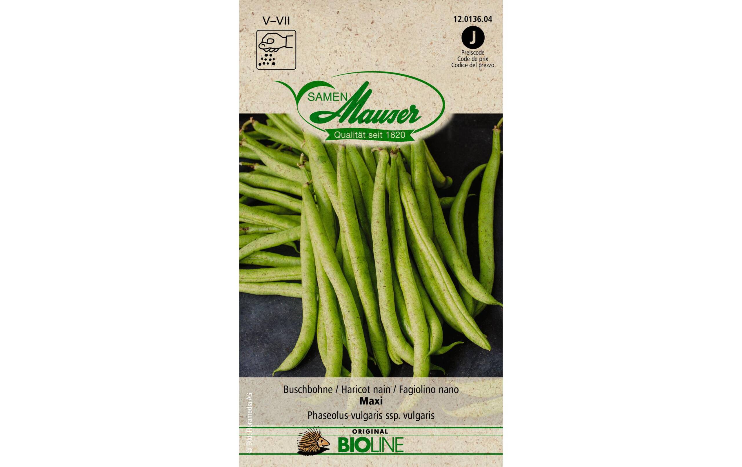 Samen Mauser Buschbohne Maxi