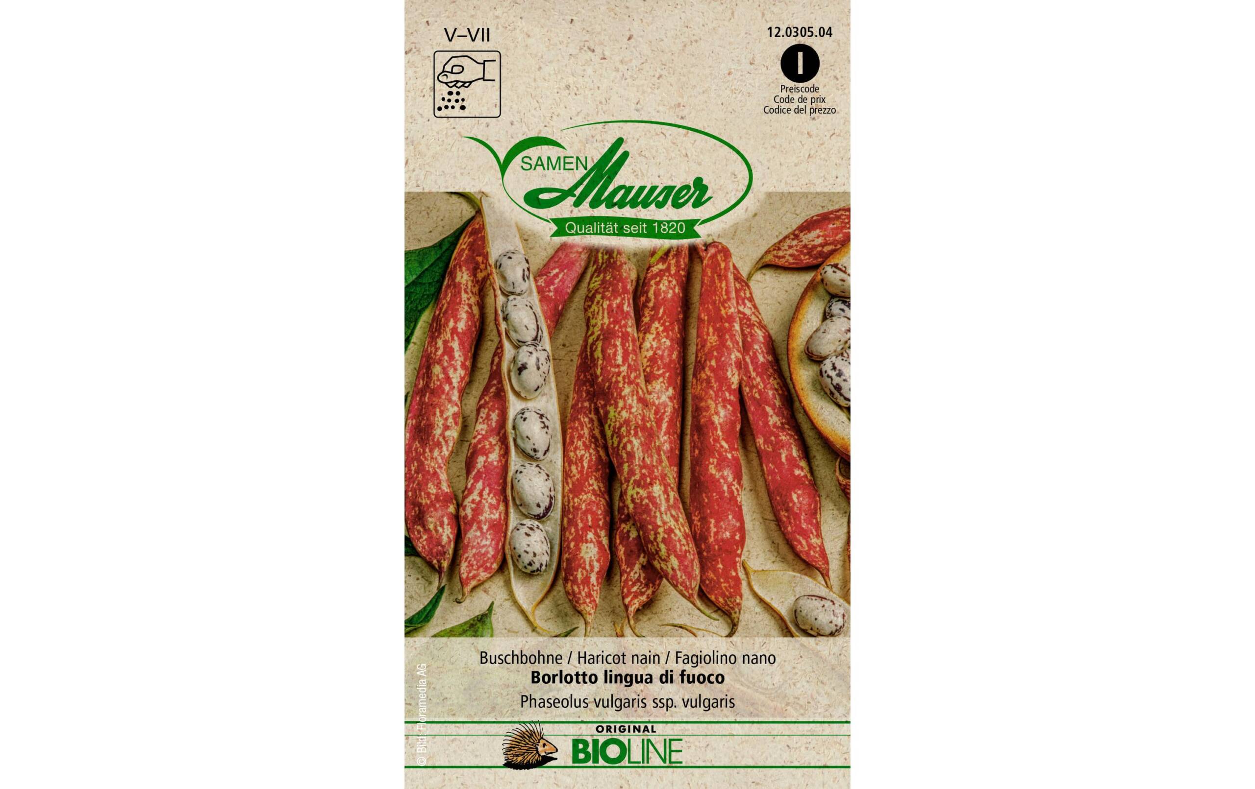 Samen Mauser Bohne Borlotto lingua di fuo