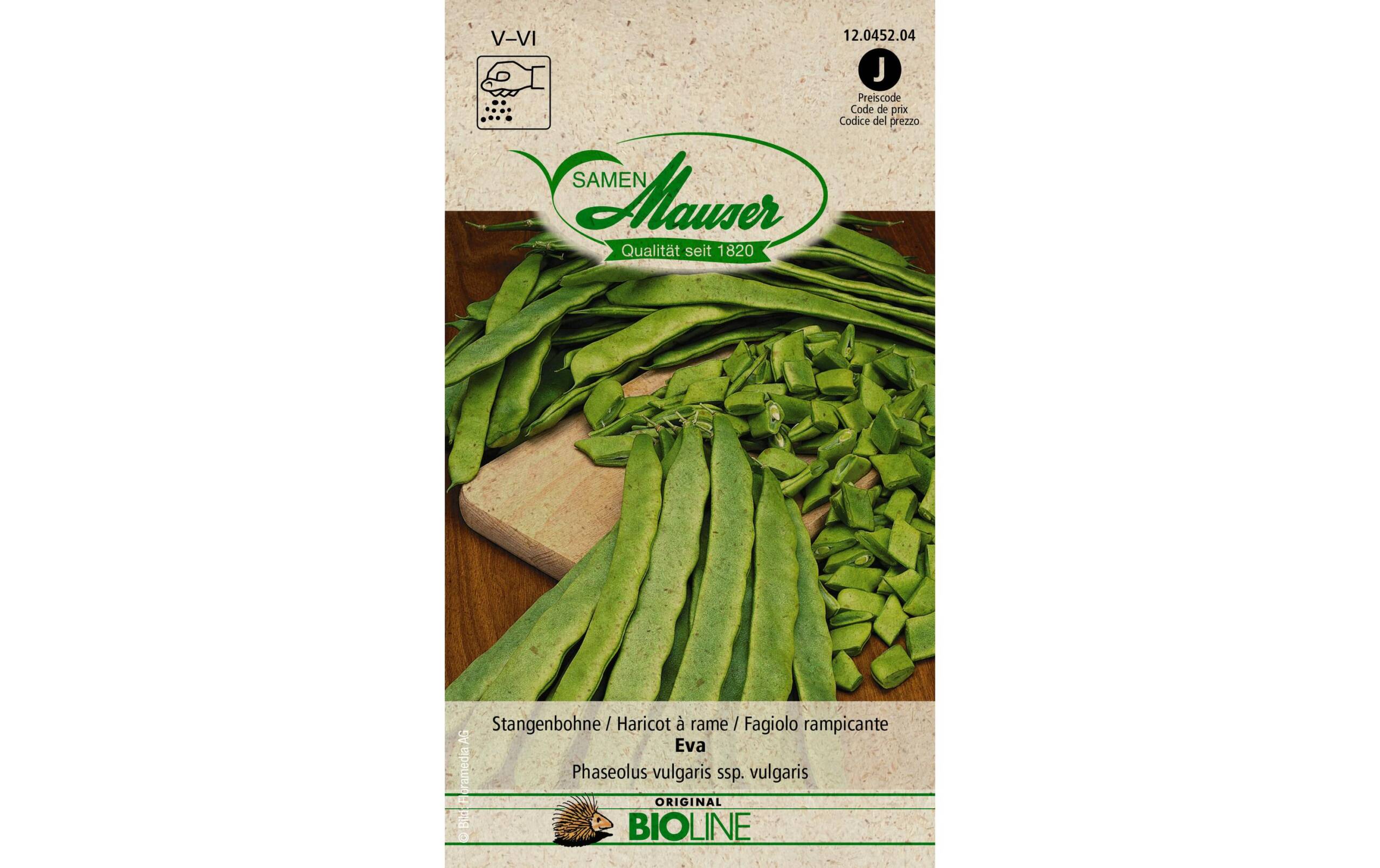 Samen Mauser Stangenbohne Eva