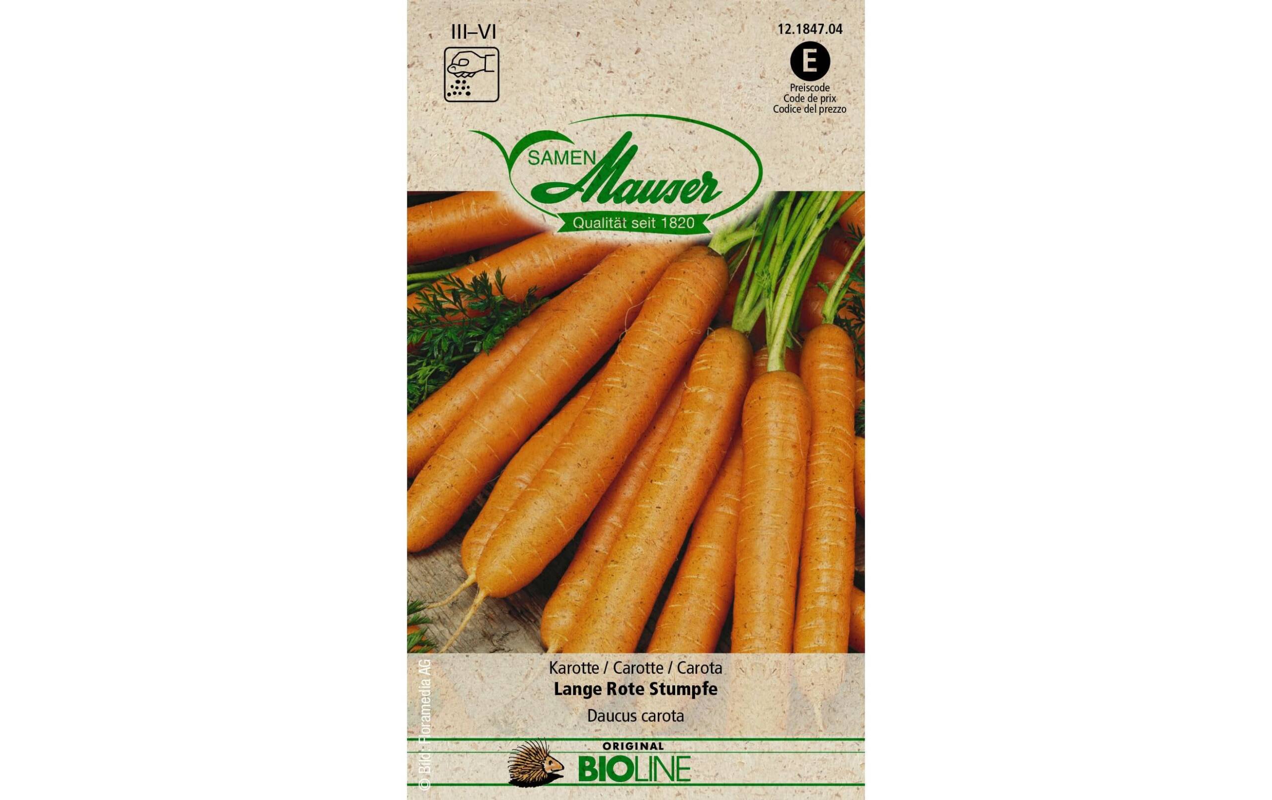 Samen Mauser Karotte Lange Rote Stumpfe