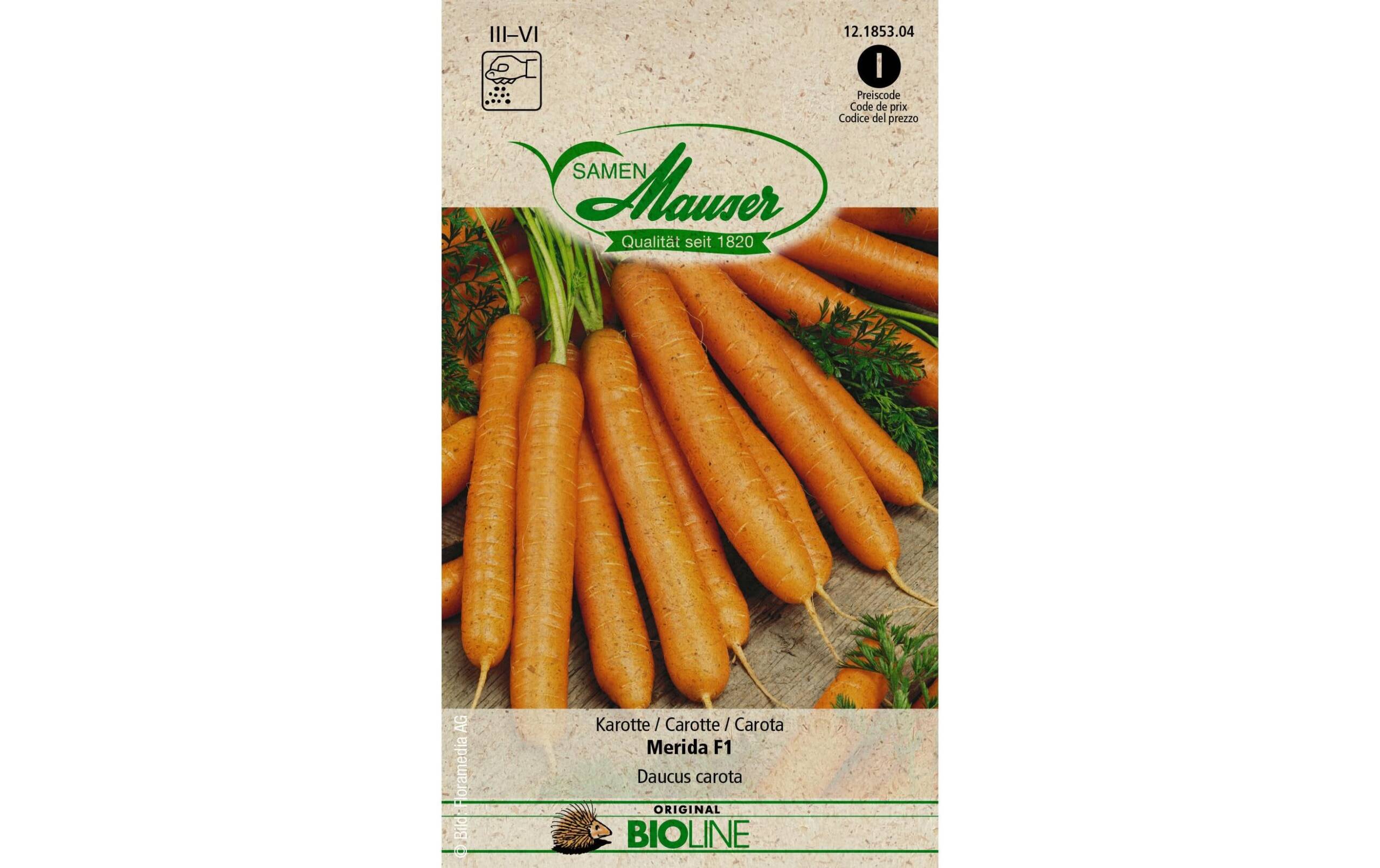Samen Mauser Karotte Merida F1