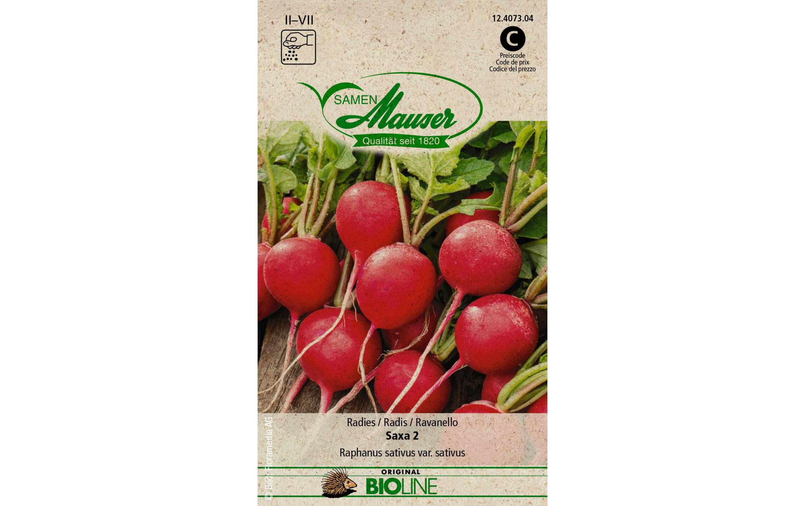 Samen Mauser Radies Saxa 2