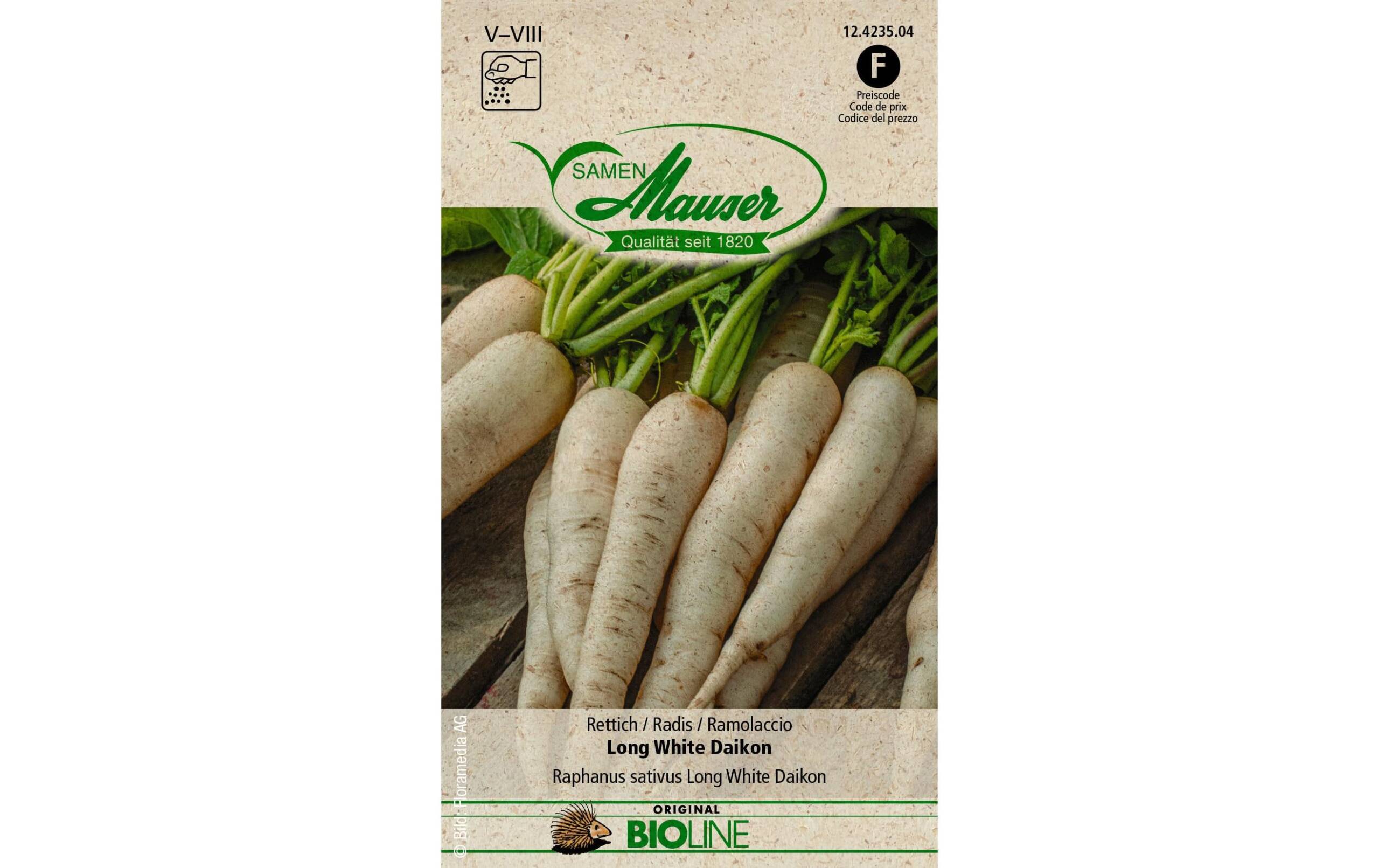 Samen Mauser Rettich Long White Daikon – Bild 2