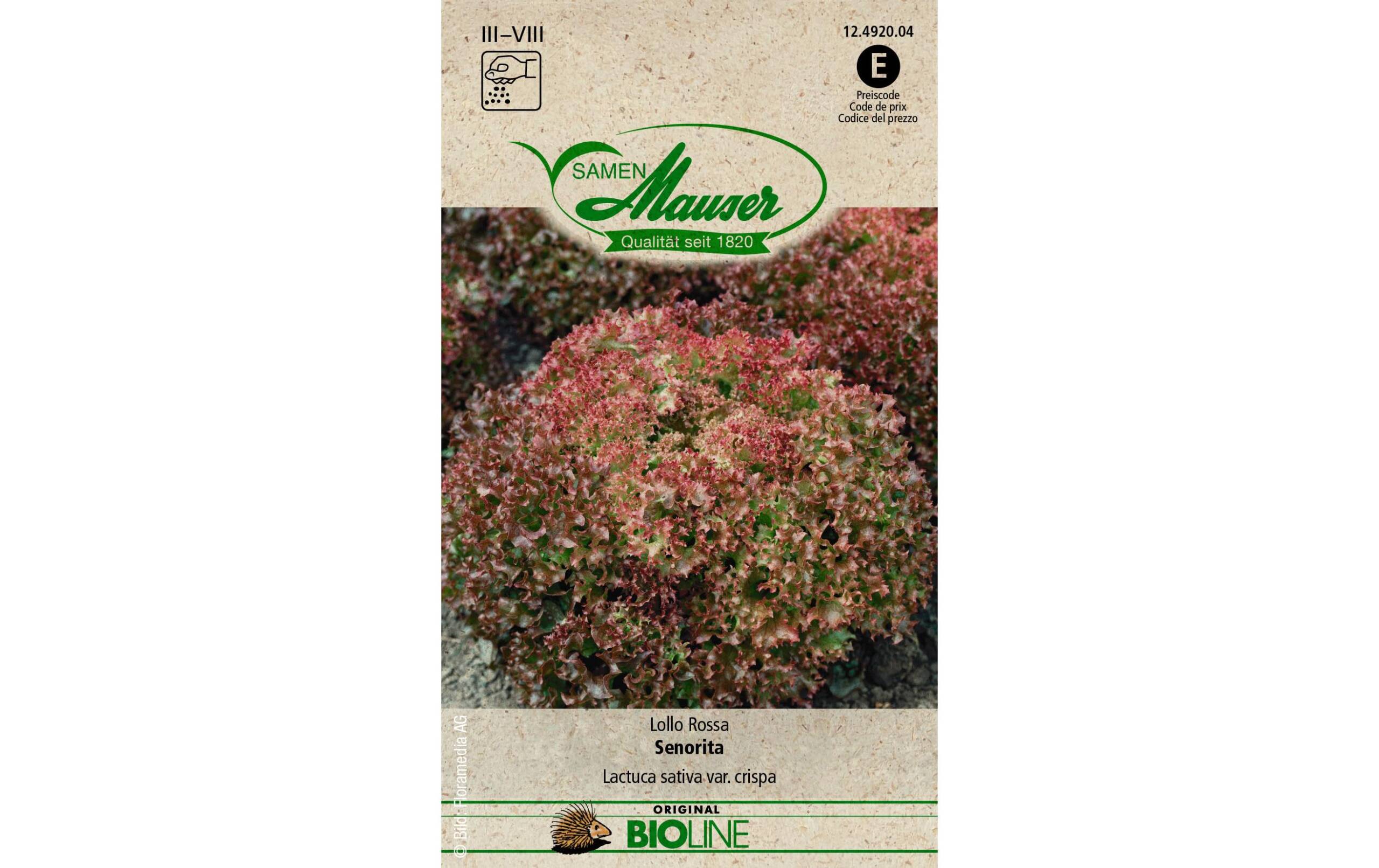 Samen Mauser Lollo Rossa Senorita