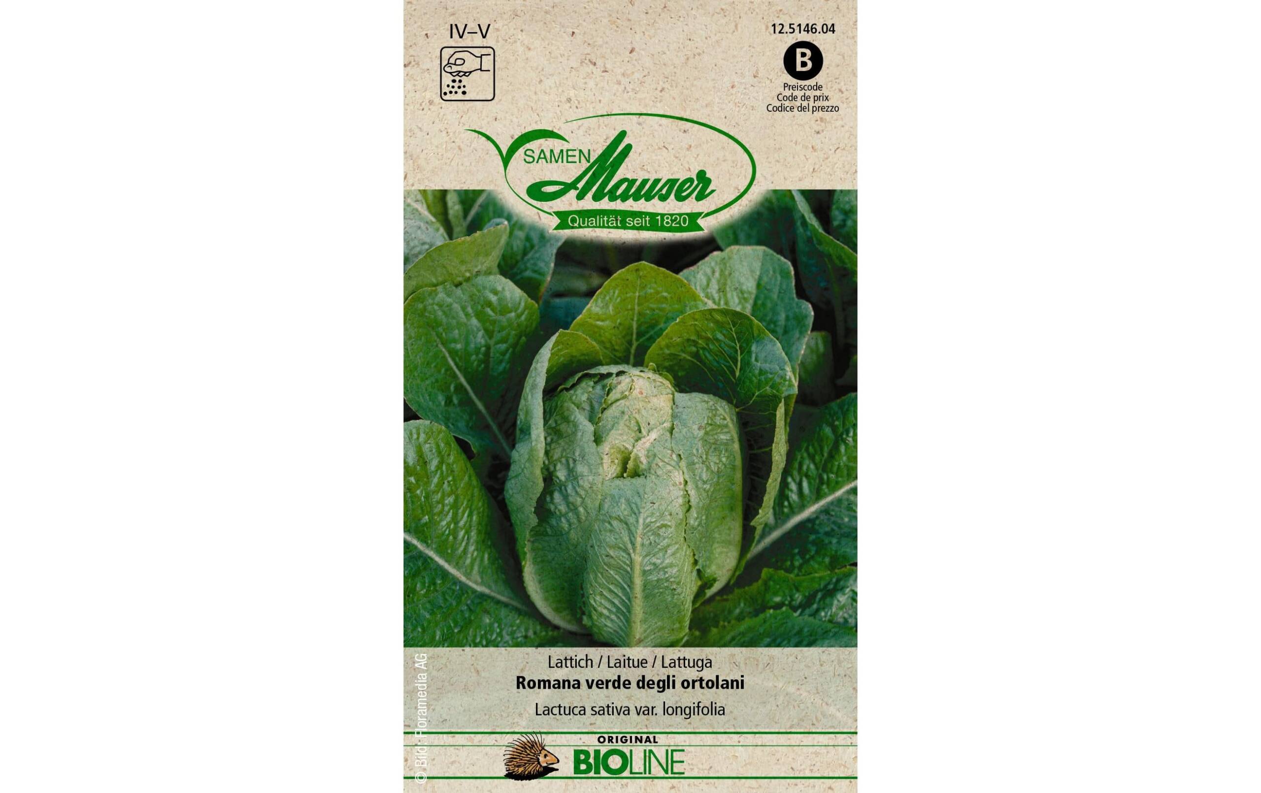 Samen Mauser Lattich Romana ver degli ortol