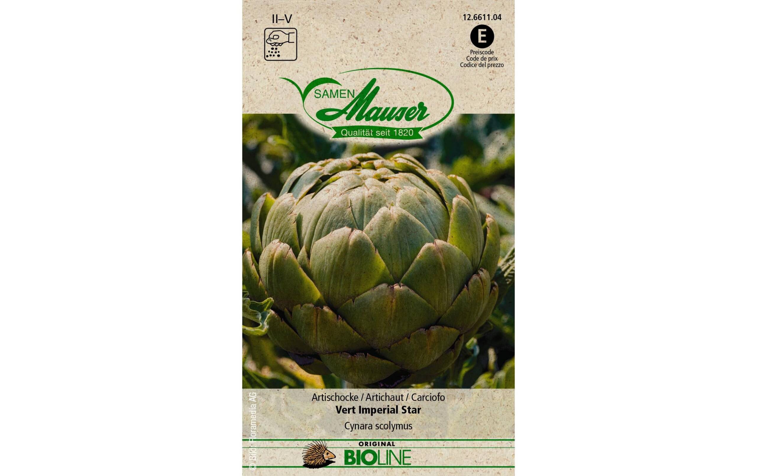 Samen Mauser Artischocke Vert Imperial Star