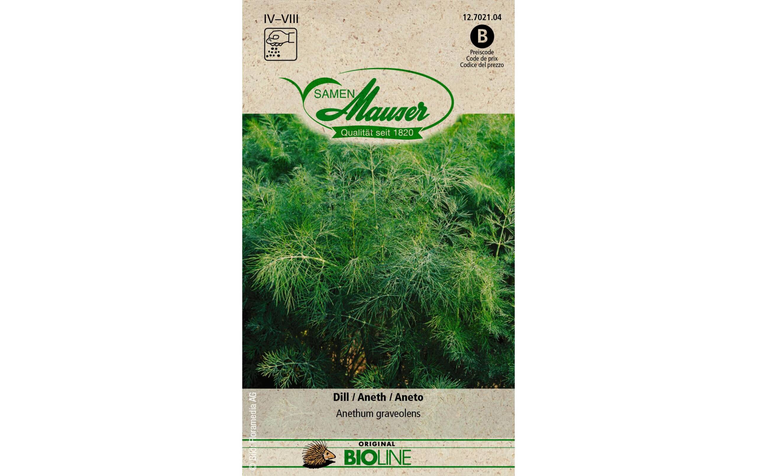 Samen Mauser Dill Hera