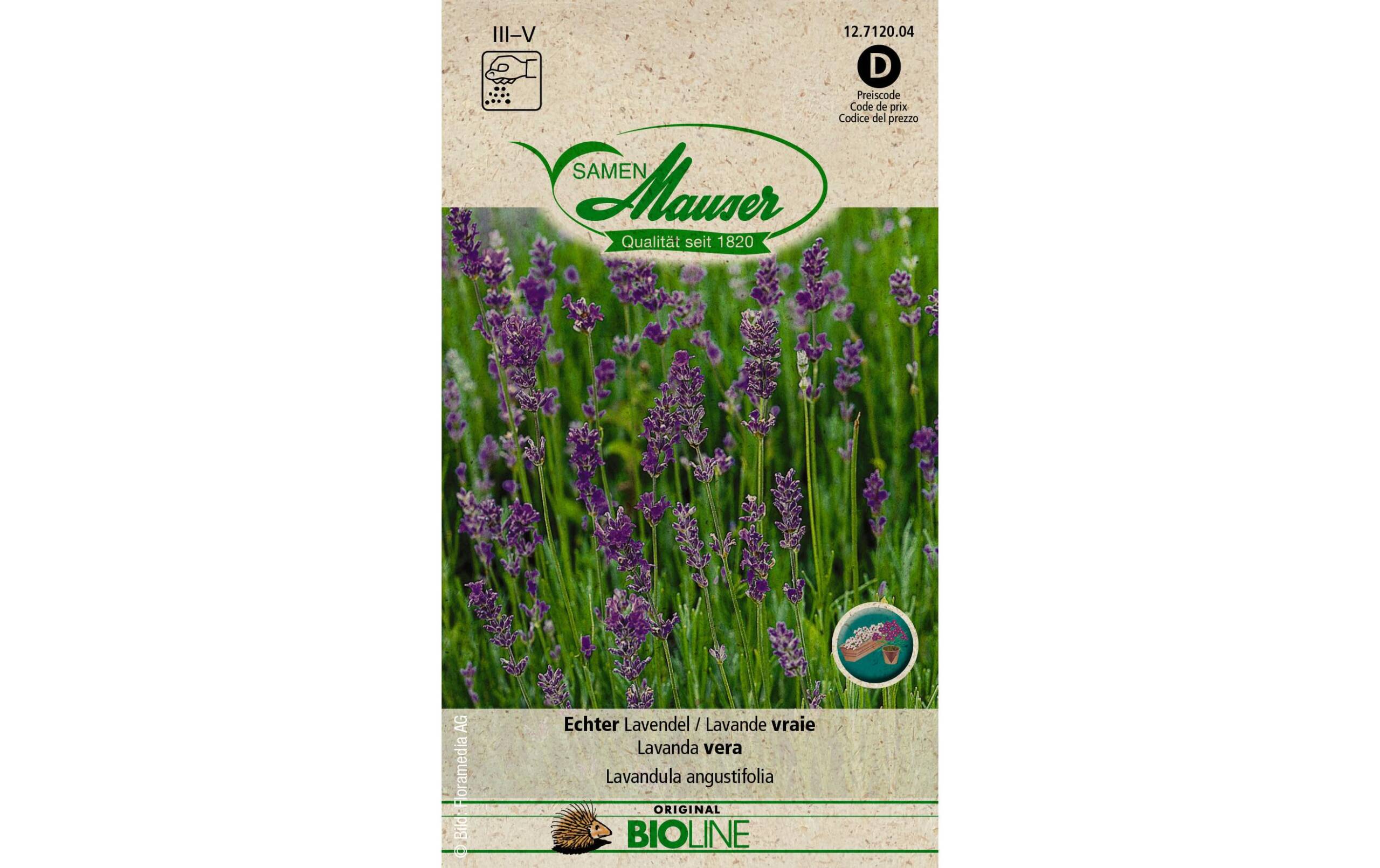 Samen Mauser Echter Lavendel Solanum melongena