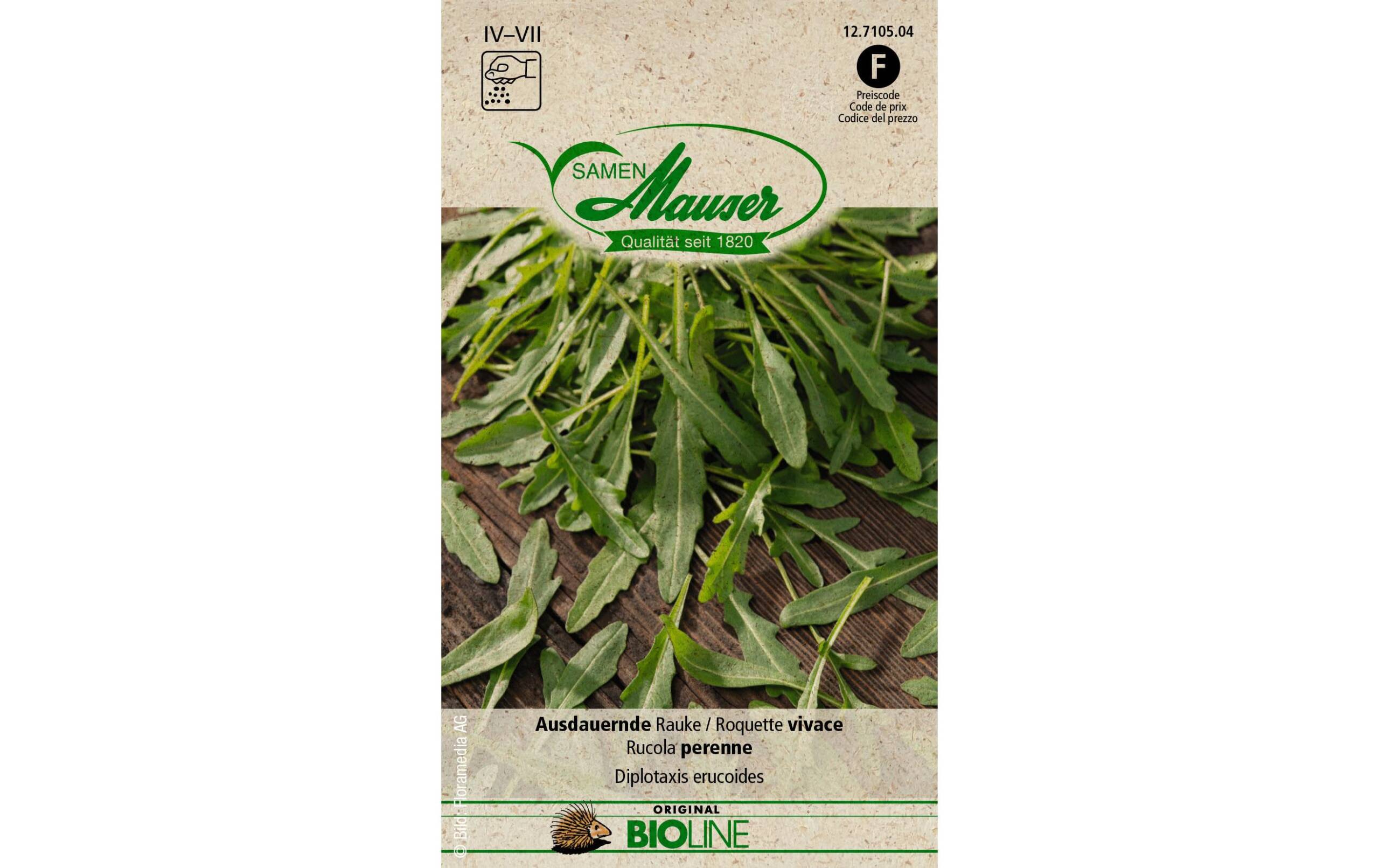 Samen Mauser Ausdauernde Rauke Solanum melongena