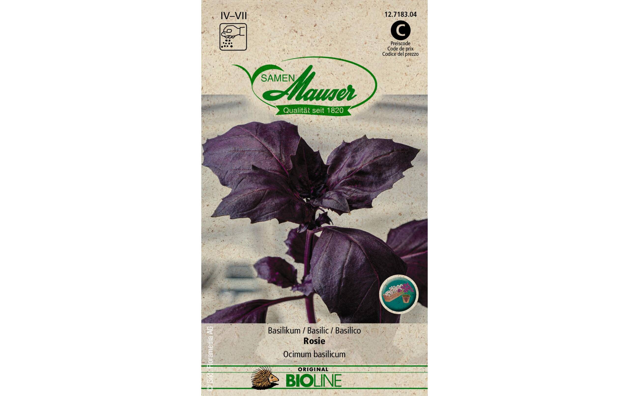 Samen Mauser Basilikum Rosie