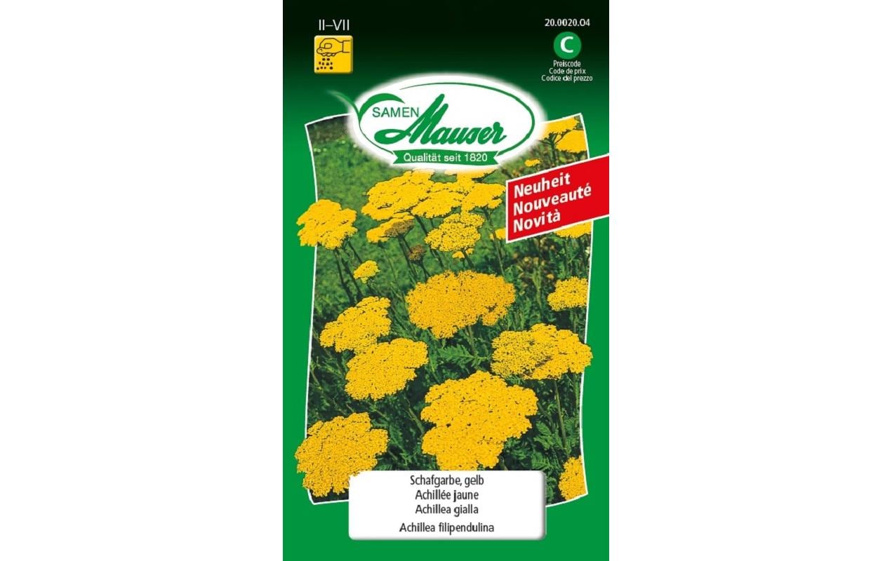 Samen Mauser Achillea filipendulina gelb