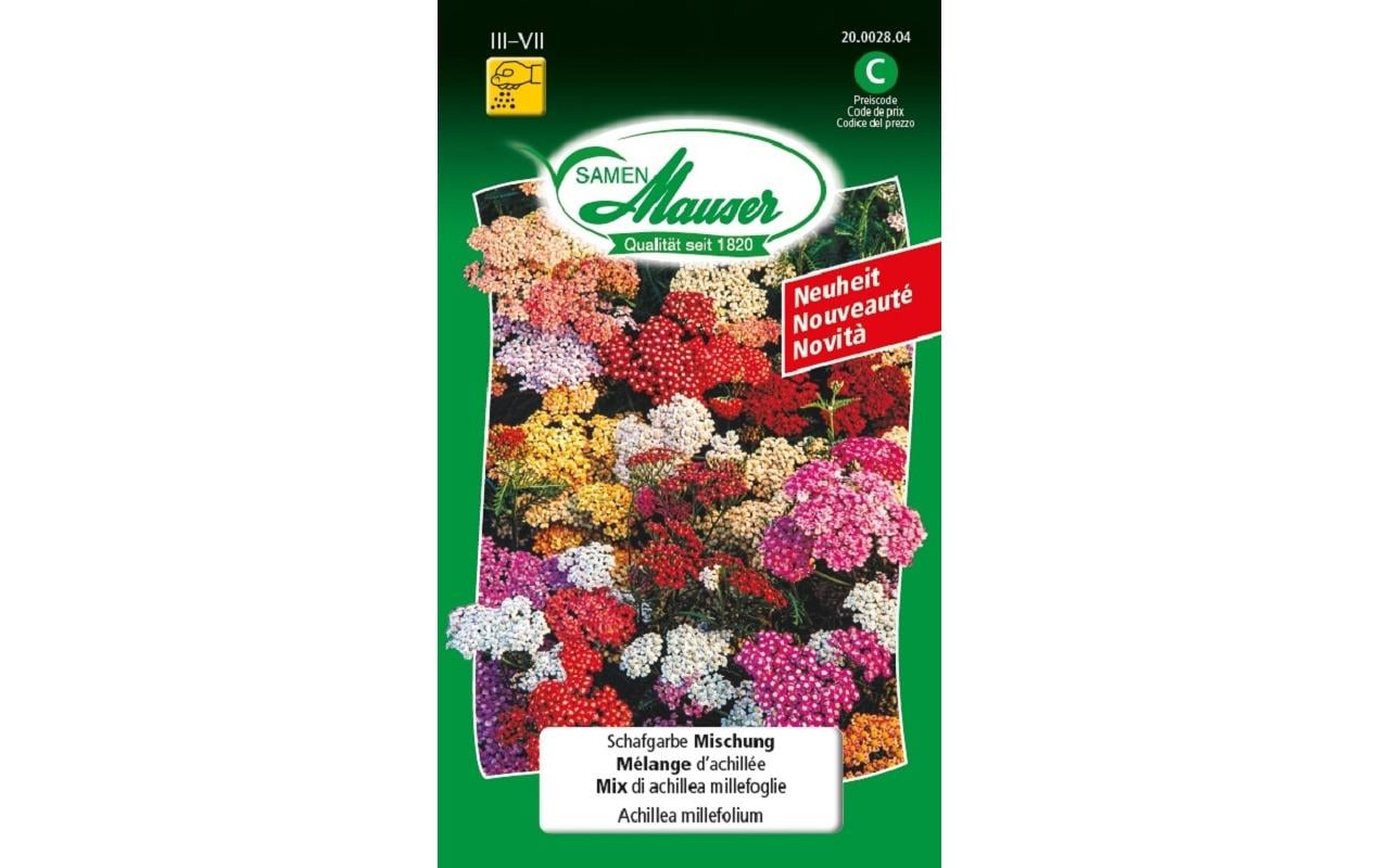 Samen Mauser Schafgarbe Mischung