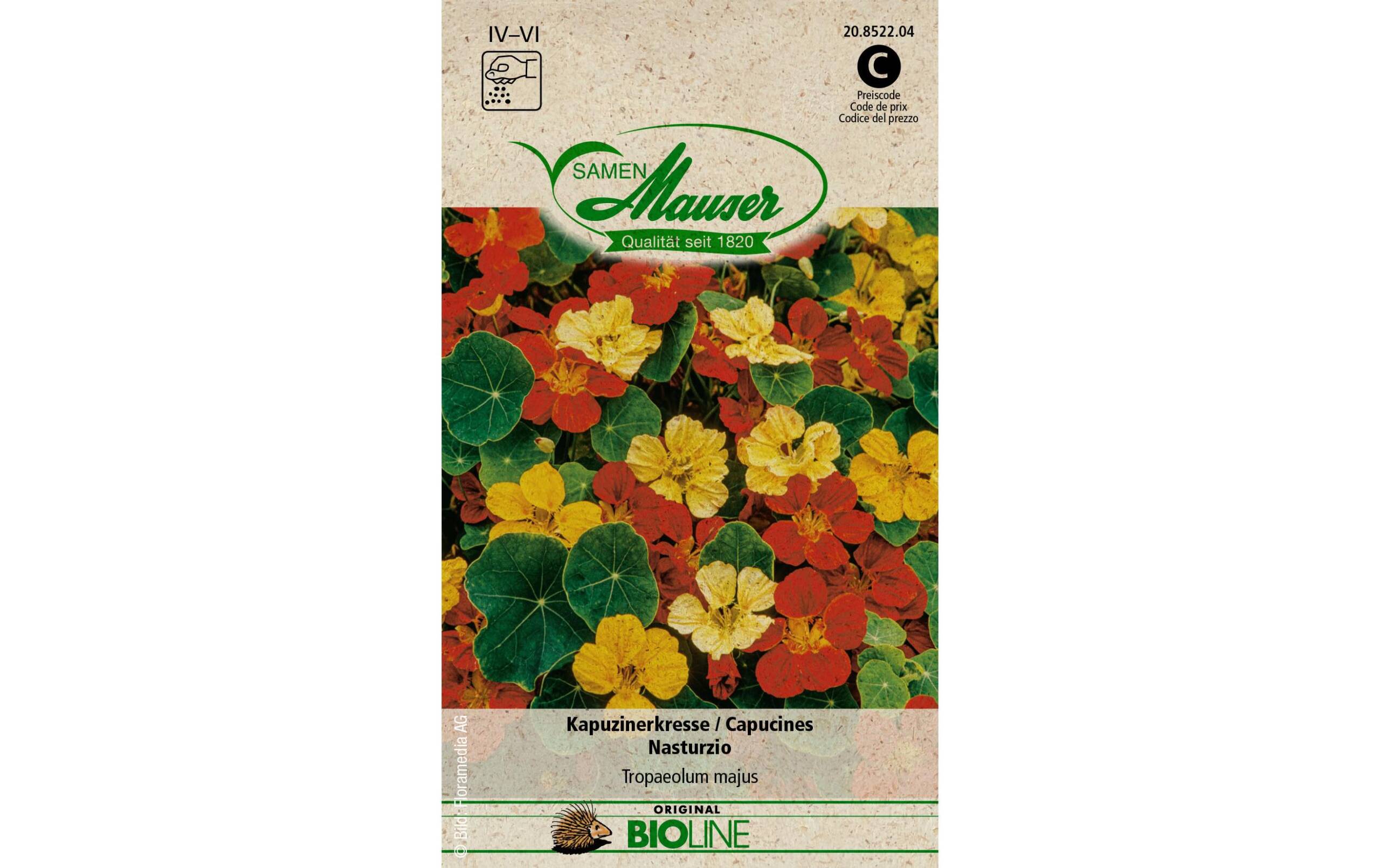 Samen Mauser Kapuzinerkresse Solanum melongena