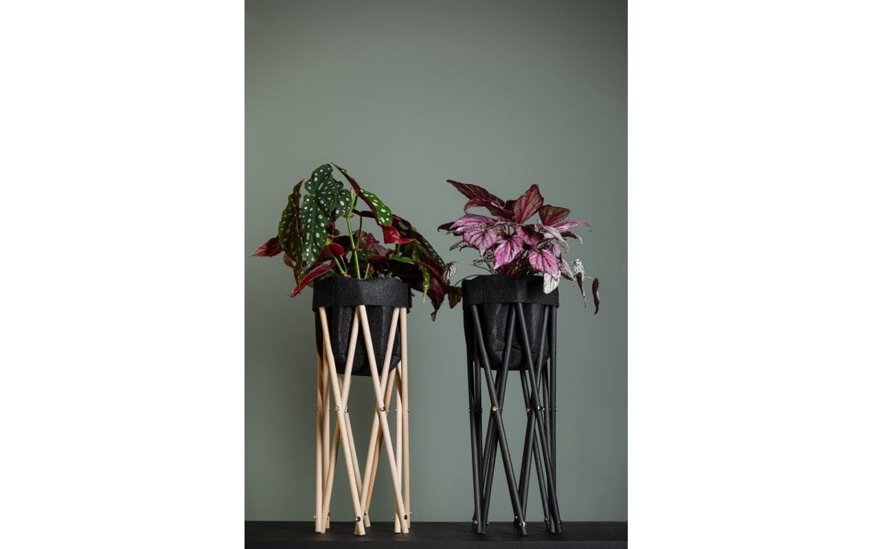 Neogard Pflanzenstativ 50 Natur 50cm