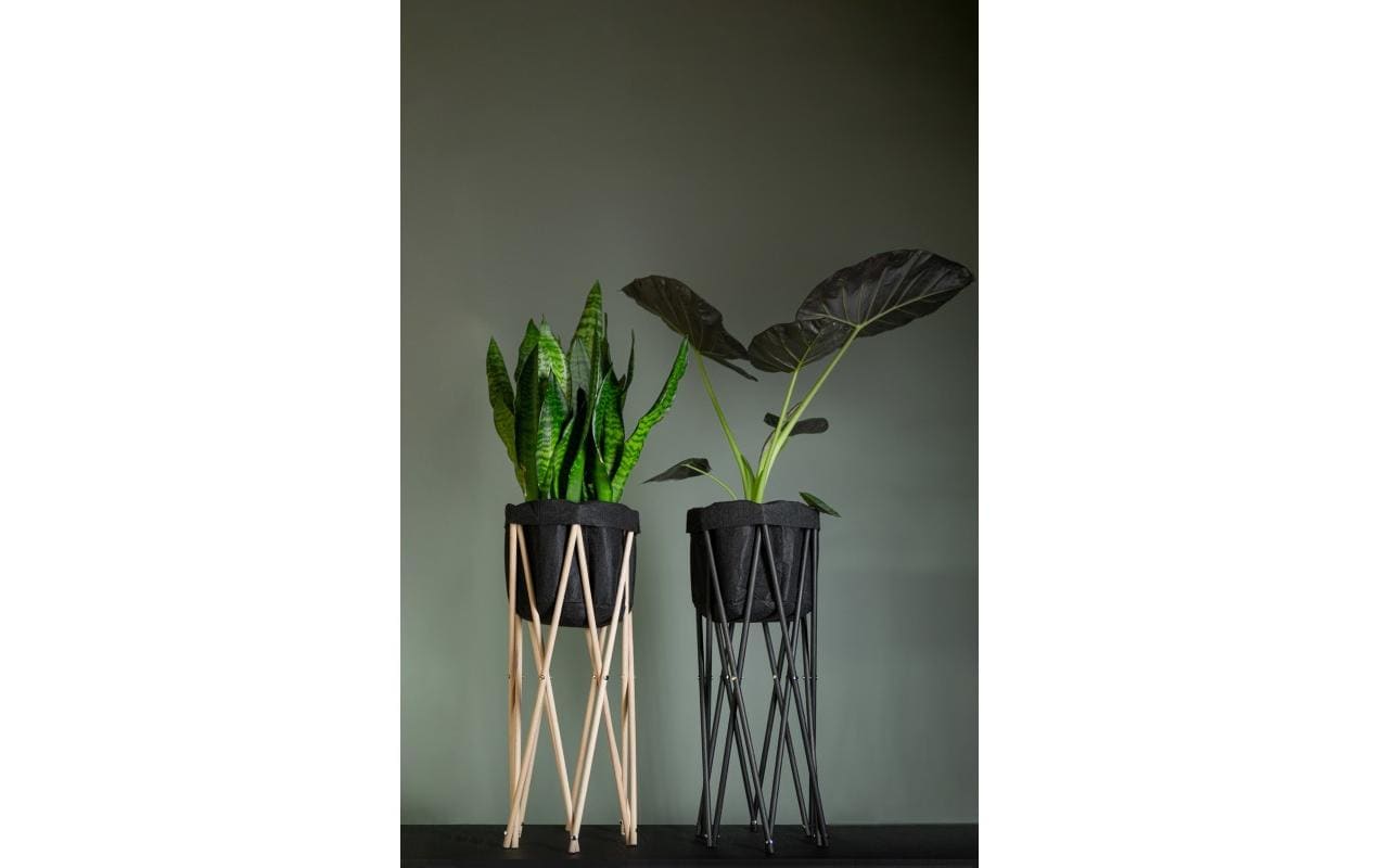 Neogard Pflanzenstativ 70 Natur 70cm