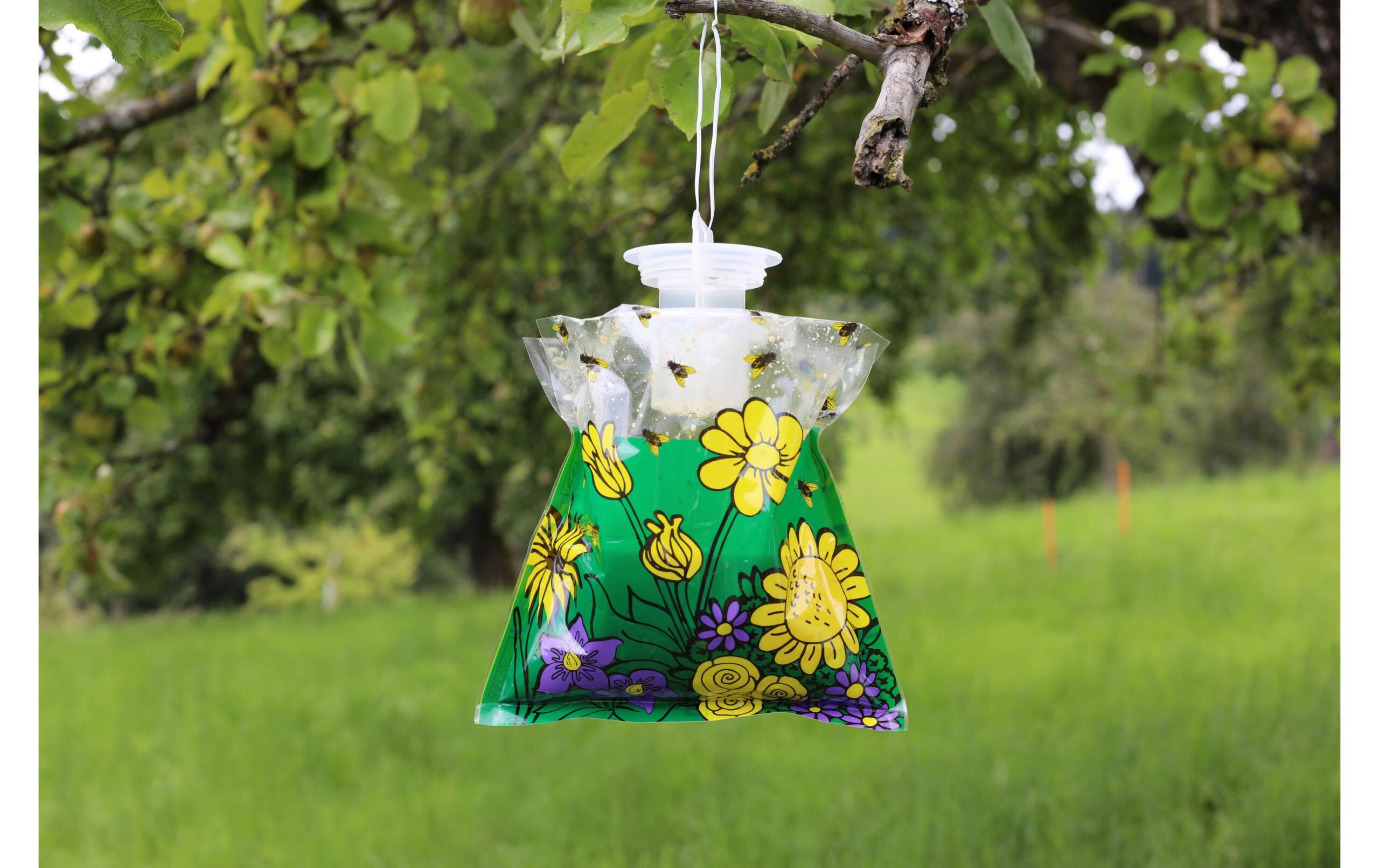 Andermatt Bio Fliegenfalle Outdoor