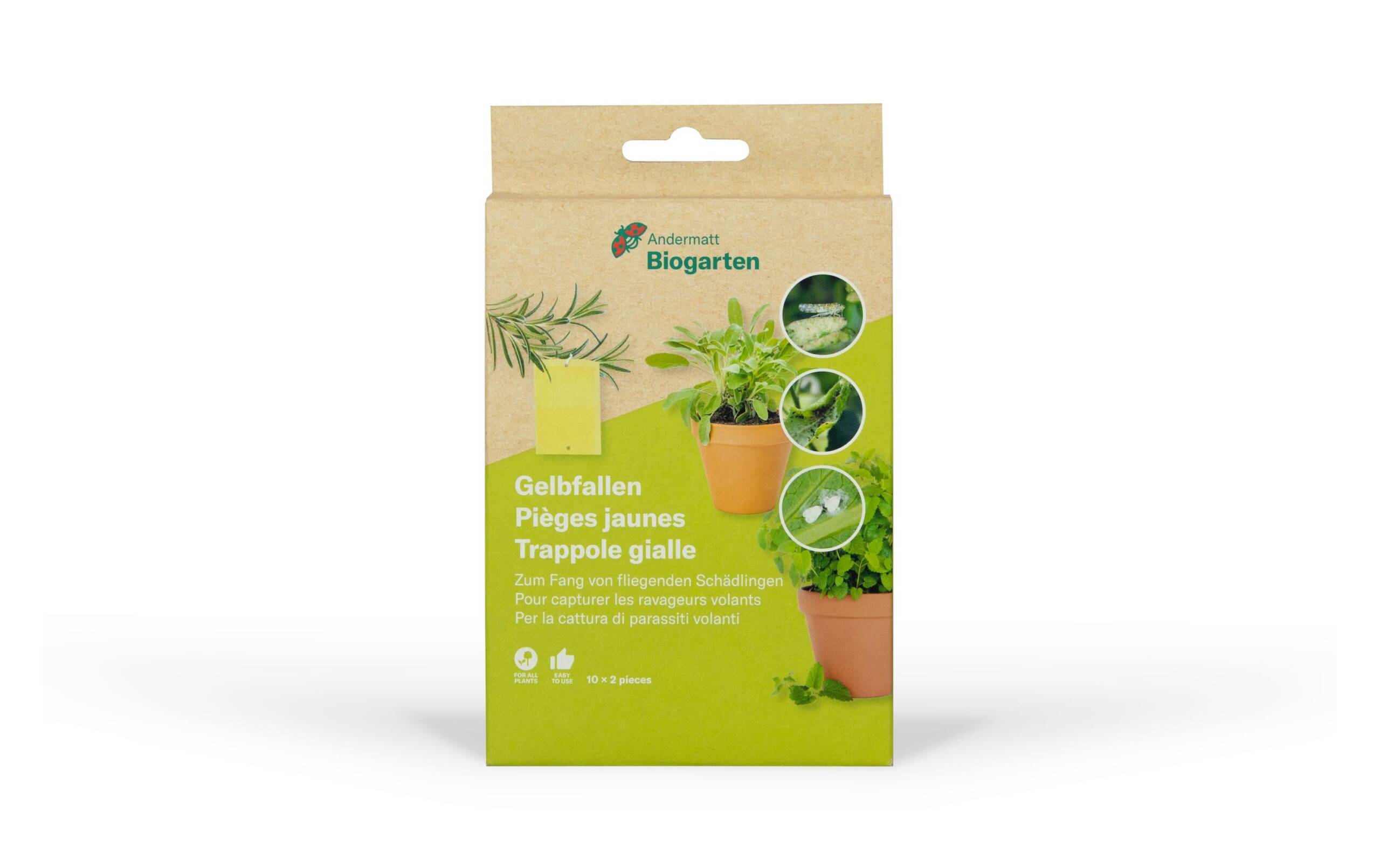 Andermatt Bio Gelbfallen 10 Stück teilbar