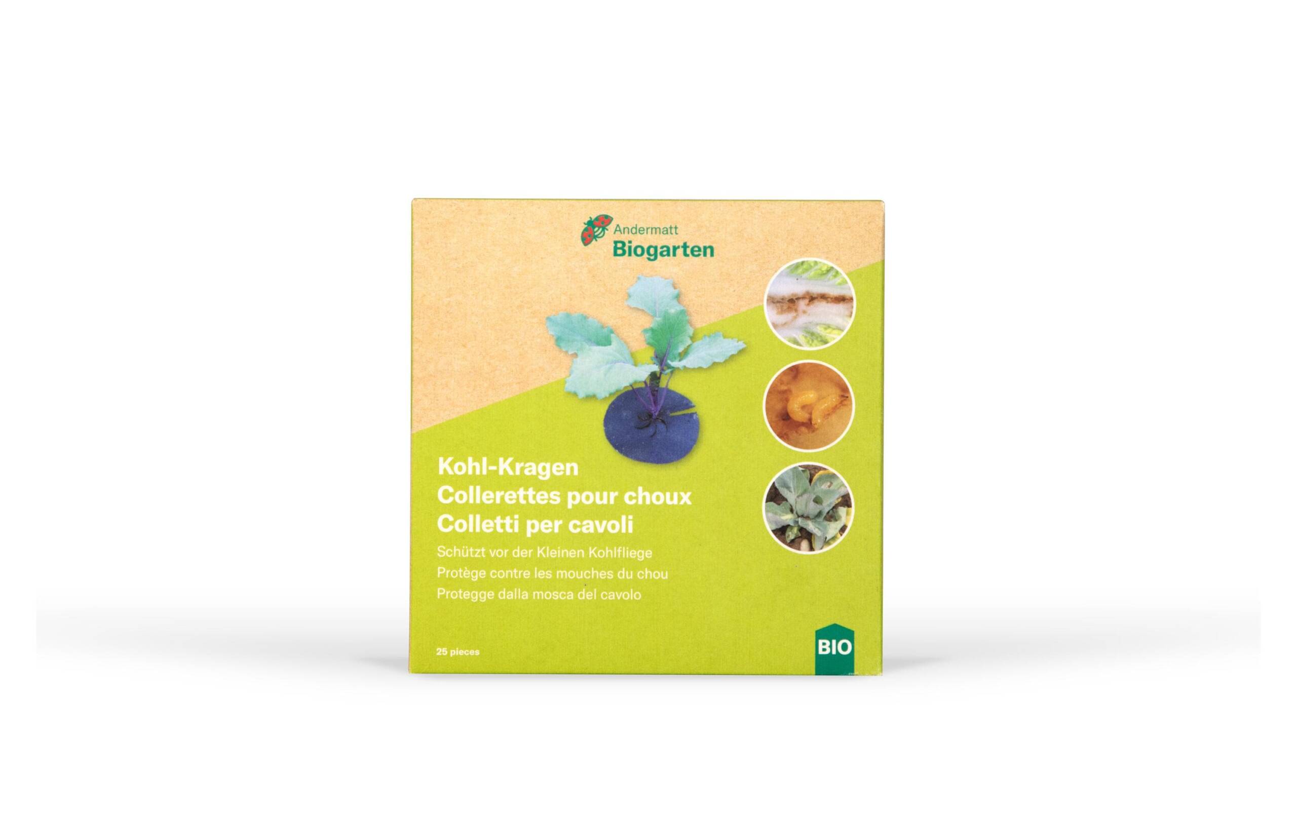 Andermatt Bio Kohl-Kragen 25 Stück