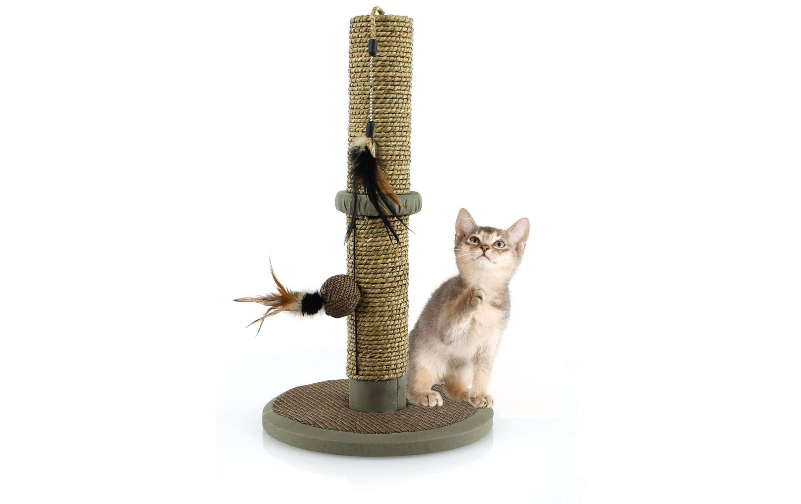 Swisspet Kratzsäule Naturo 30x30x50cm