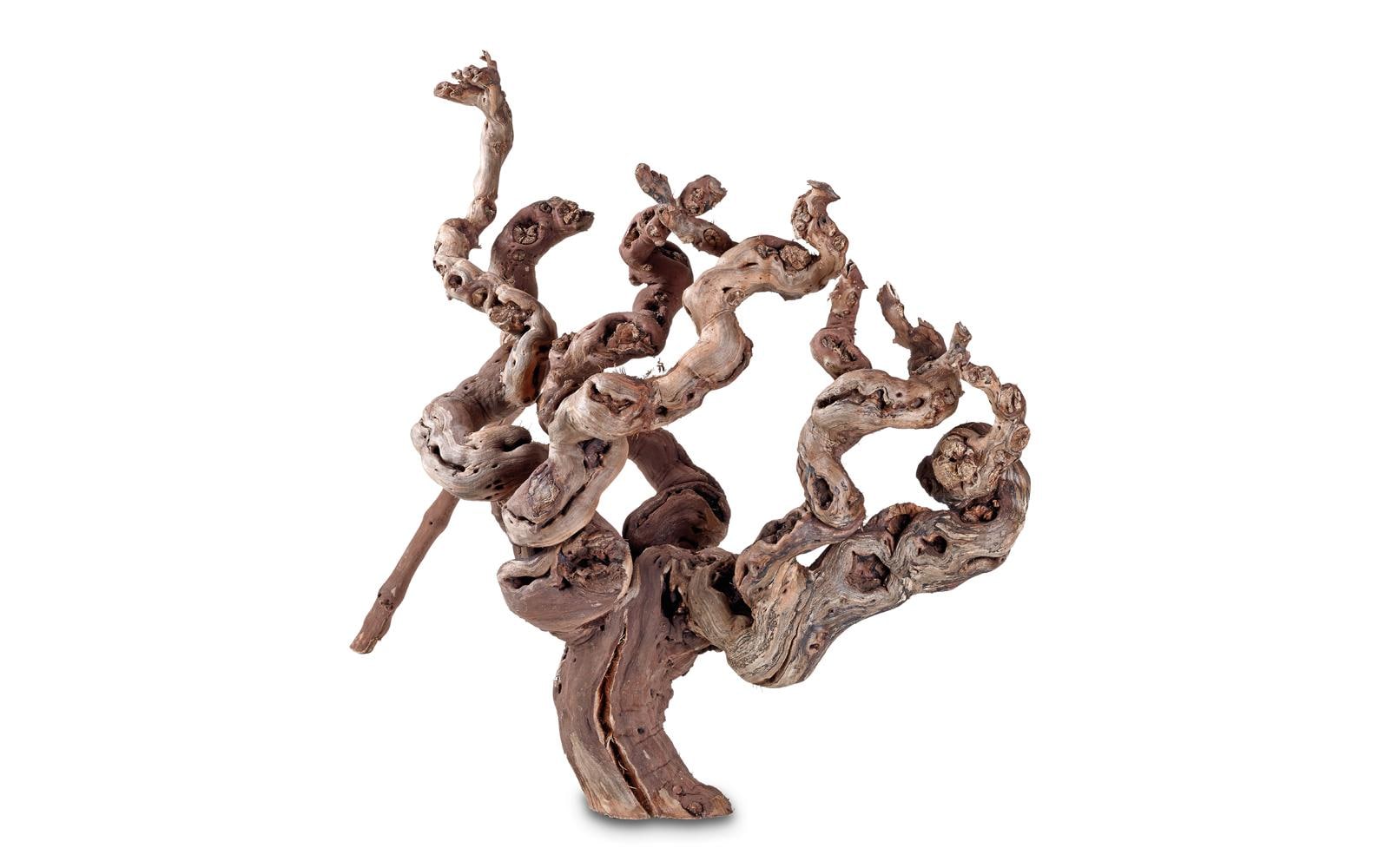 Hobby Terra Weinrebenwurzel ca. 30cm