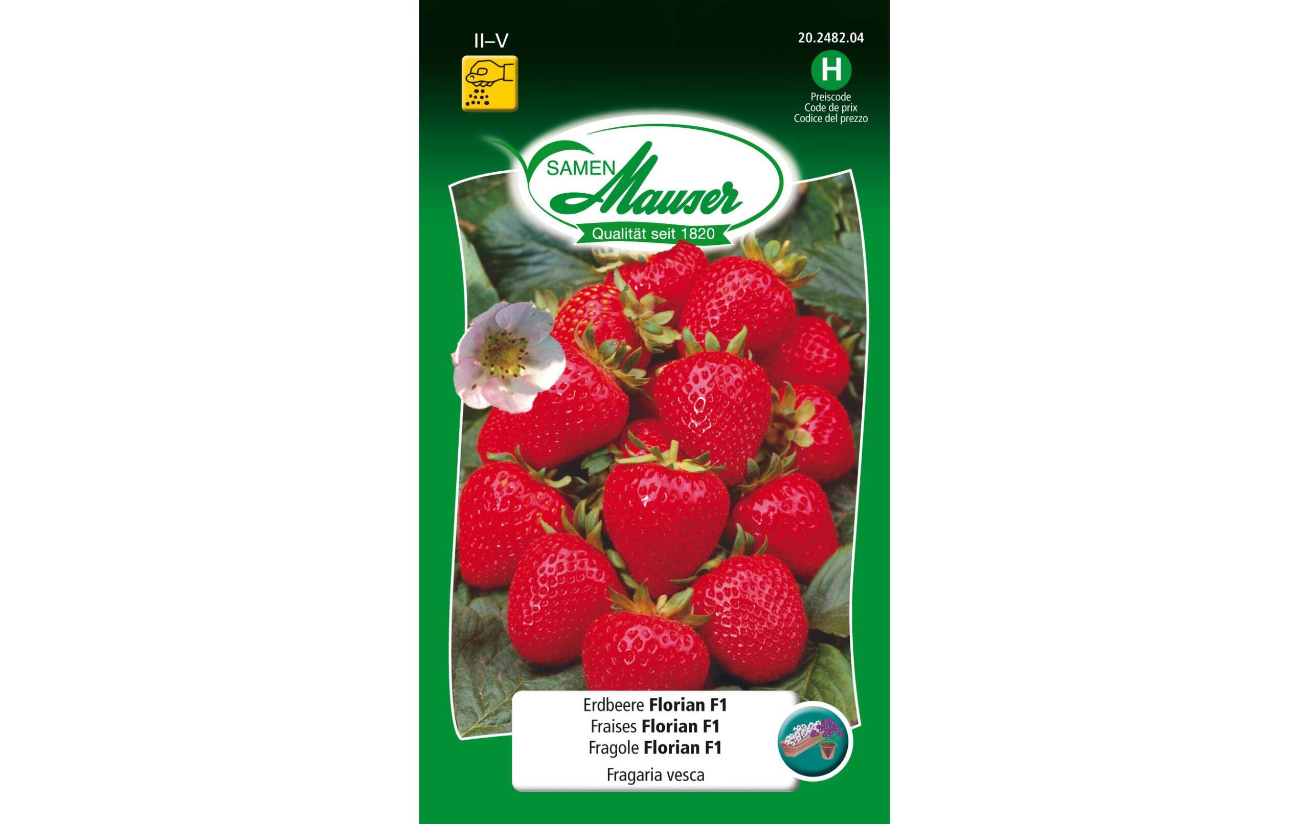 SAMEN MAUSER Erdbeere Florian F1