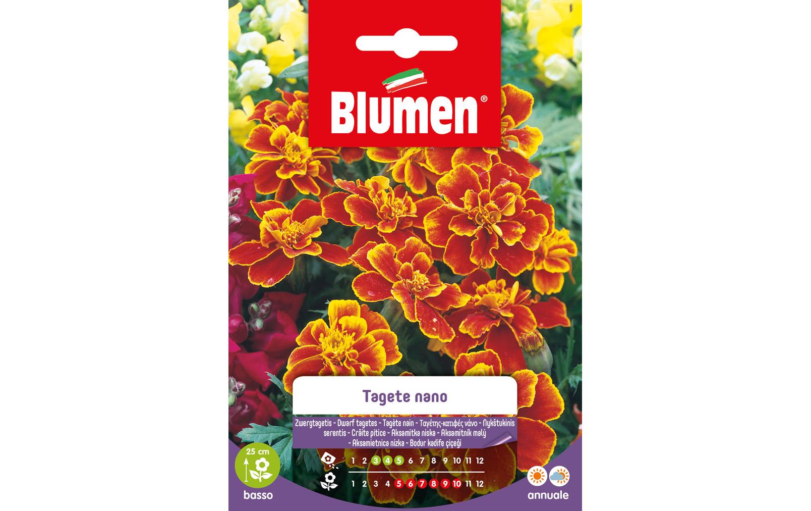 SAMEN MAUSER Zwergtagetes MARIETTA