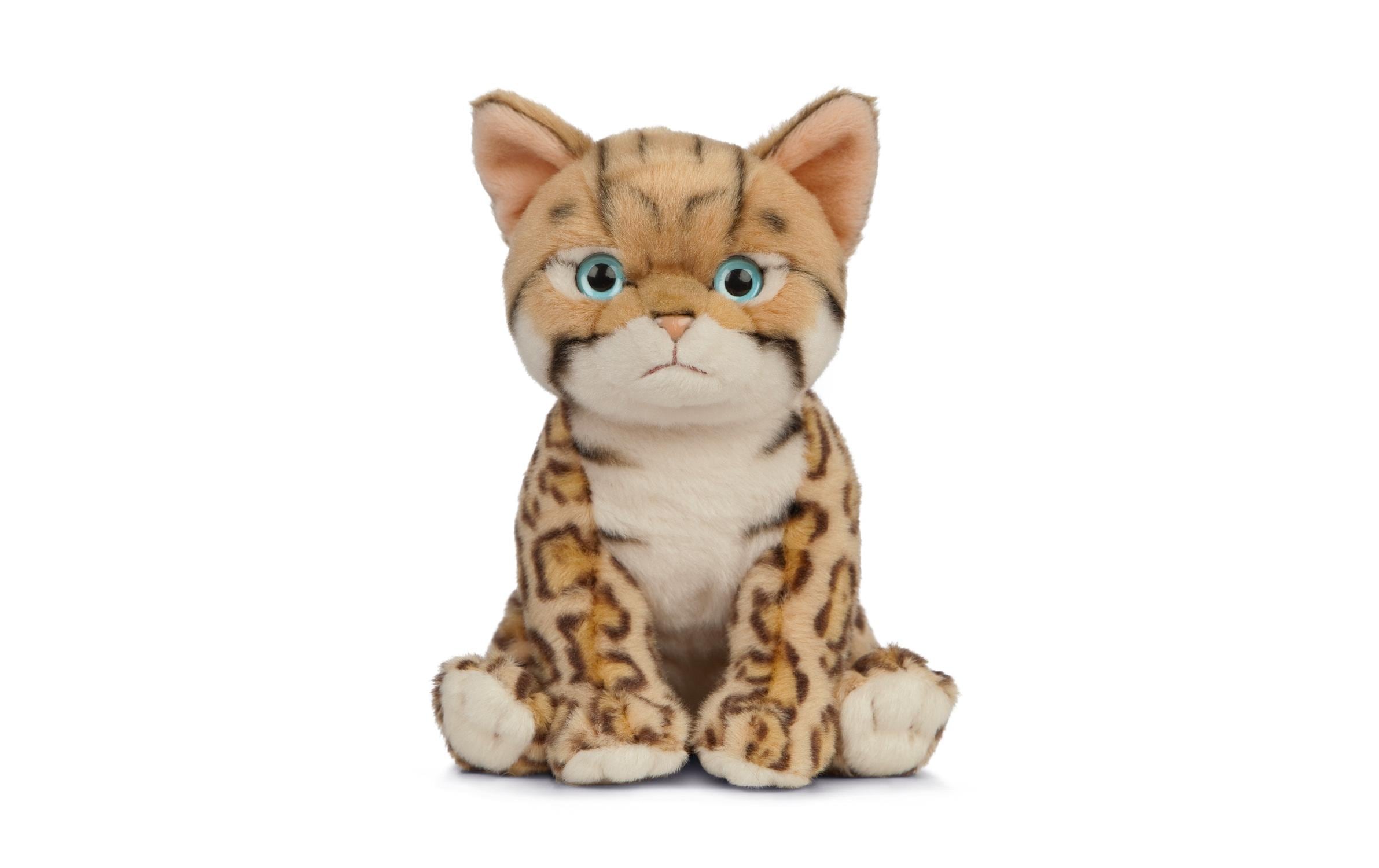 LIVING NATURE Bengalisches Kätzchen Welpe