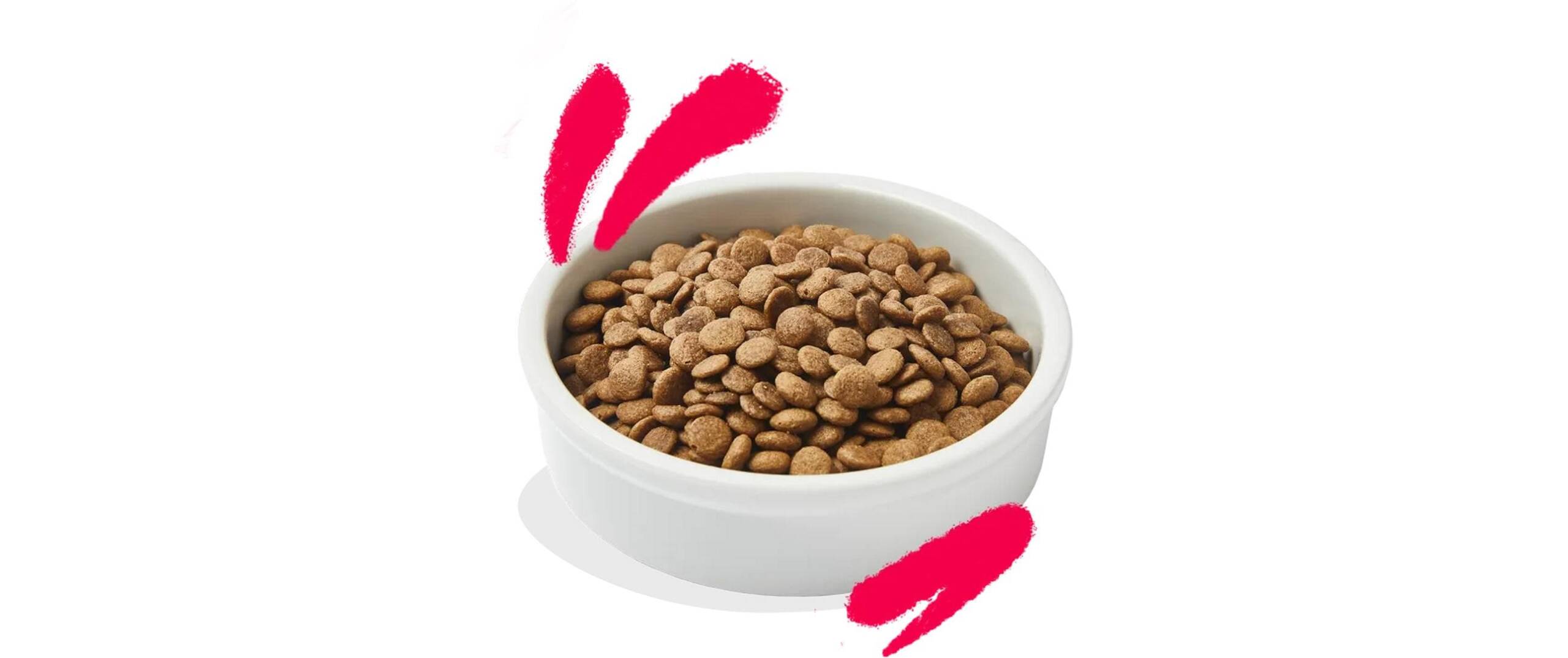 Edgard&Cooper Senior Huhn + Truthahn mit Blaubeeren 2kg – Bild 4