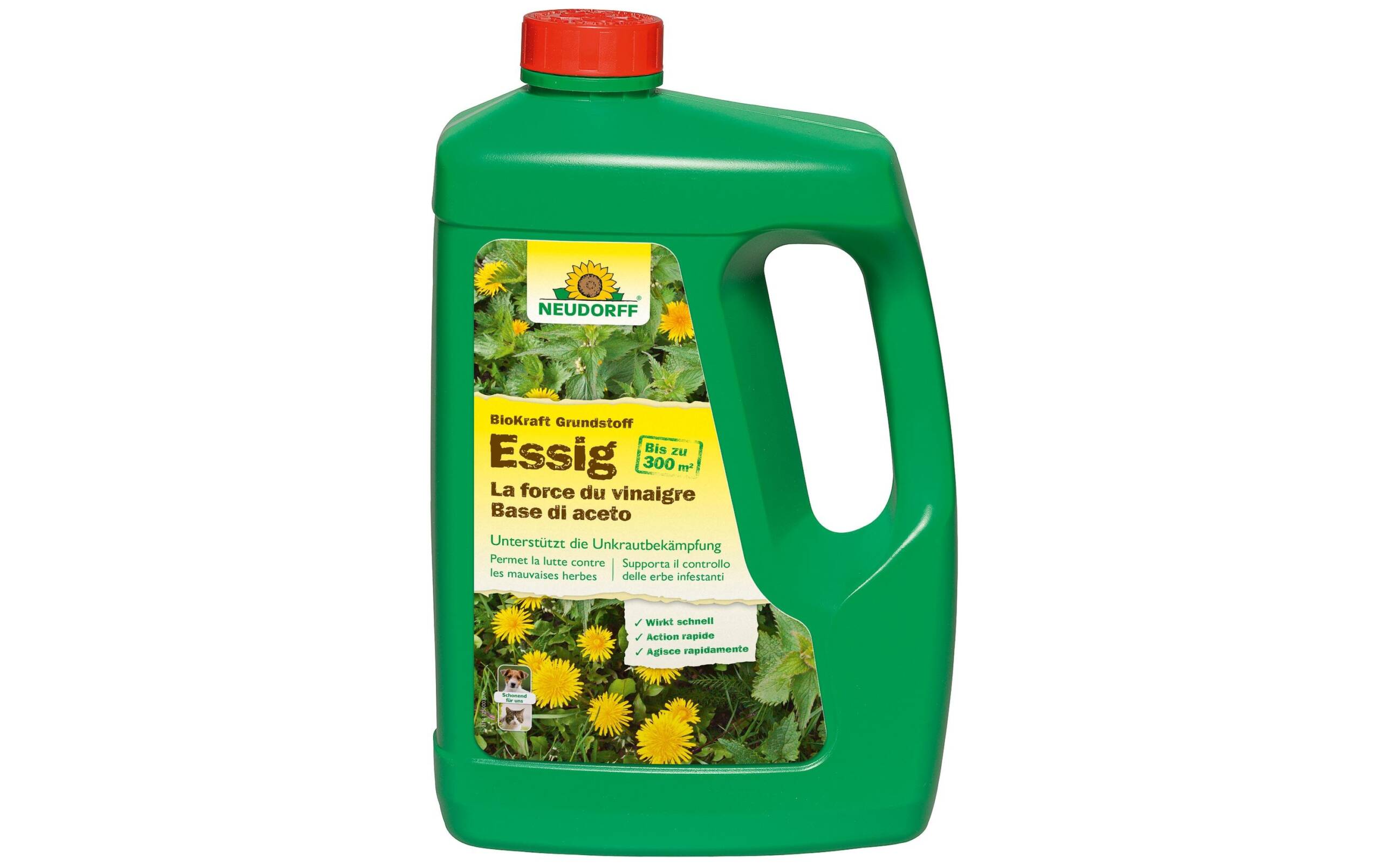 BioKraft Grundstoff Essig 3L Konzentrat