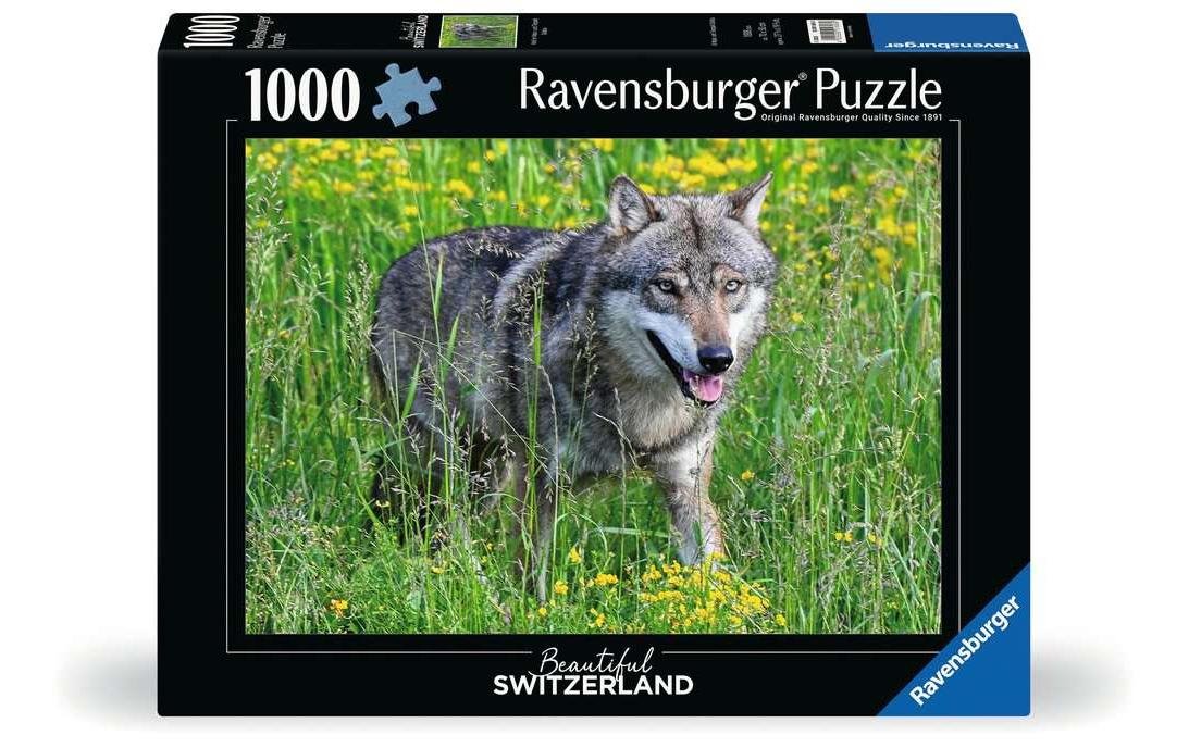 Puzzle Wolf im Natur- und Tierpark Goldau