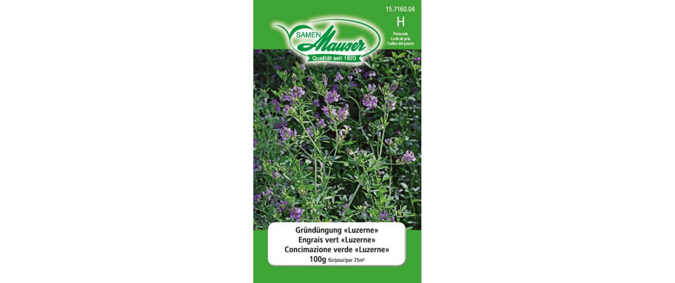 Gründüngung Luzerne 100g
