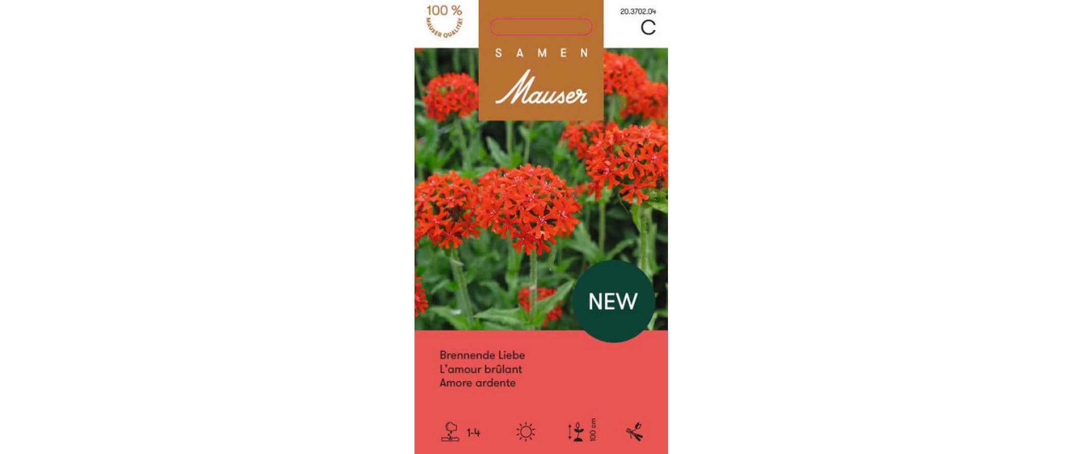 Lychnis chalcedonica