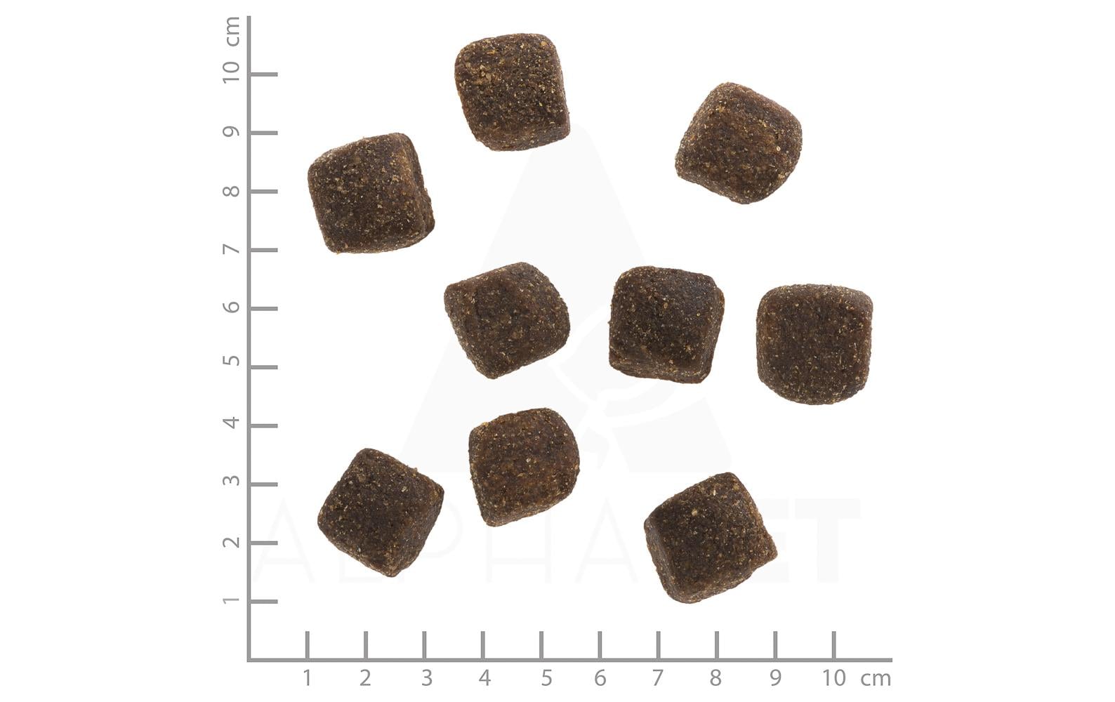 Wolfsblut LB Wide Plain Squashies 300g – Bild 3