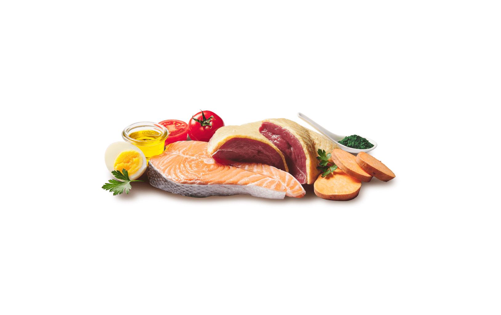 DoggyDog Dose Ente, Lachs Adult 200 g – Bild 4